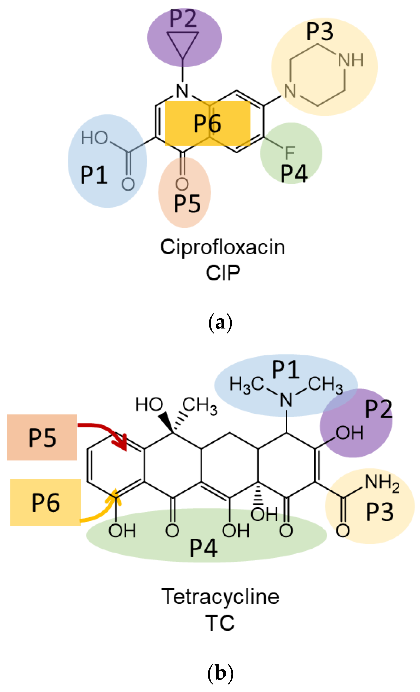 Nanomaterials 12 03157 g002a