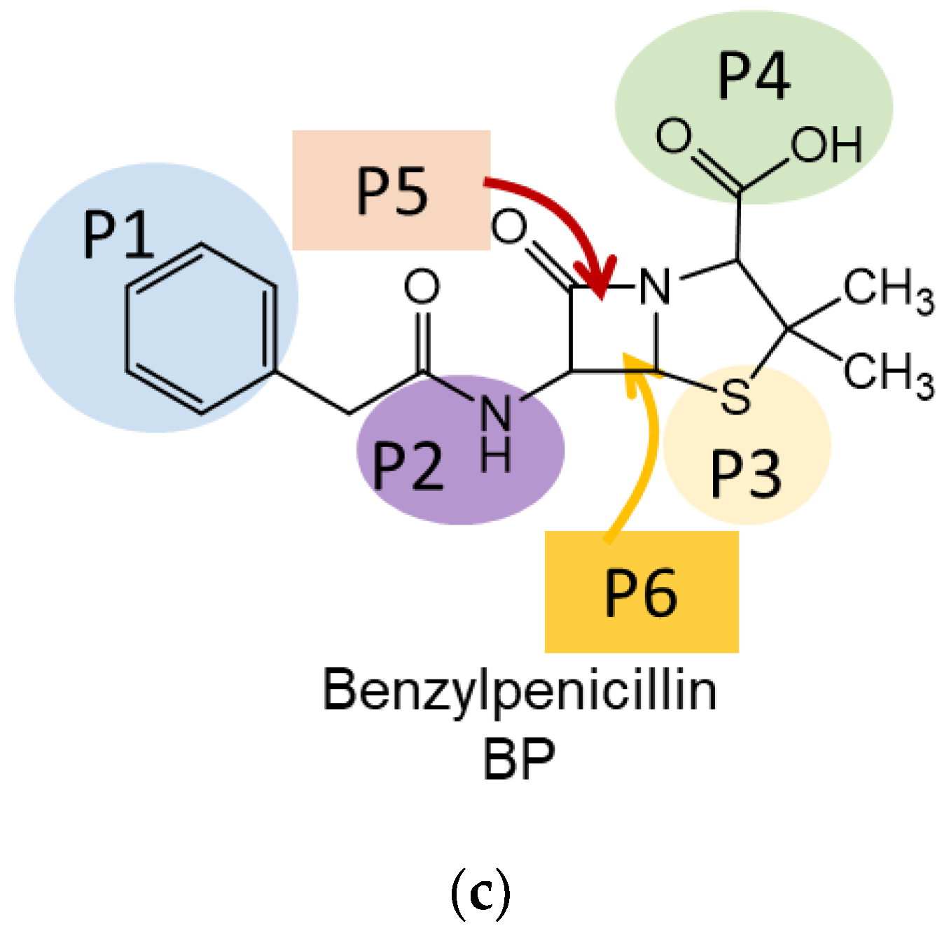 Nanomaterials 12 03157 g002b