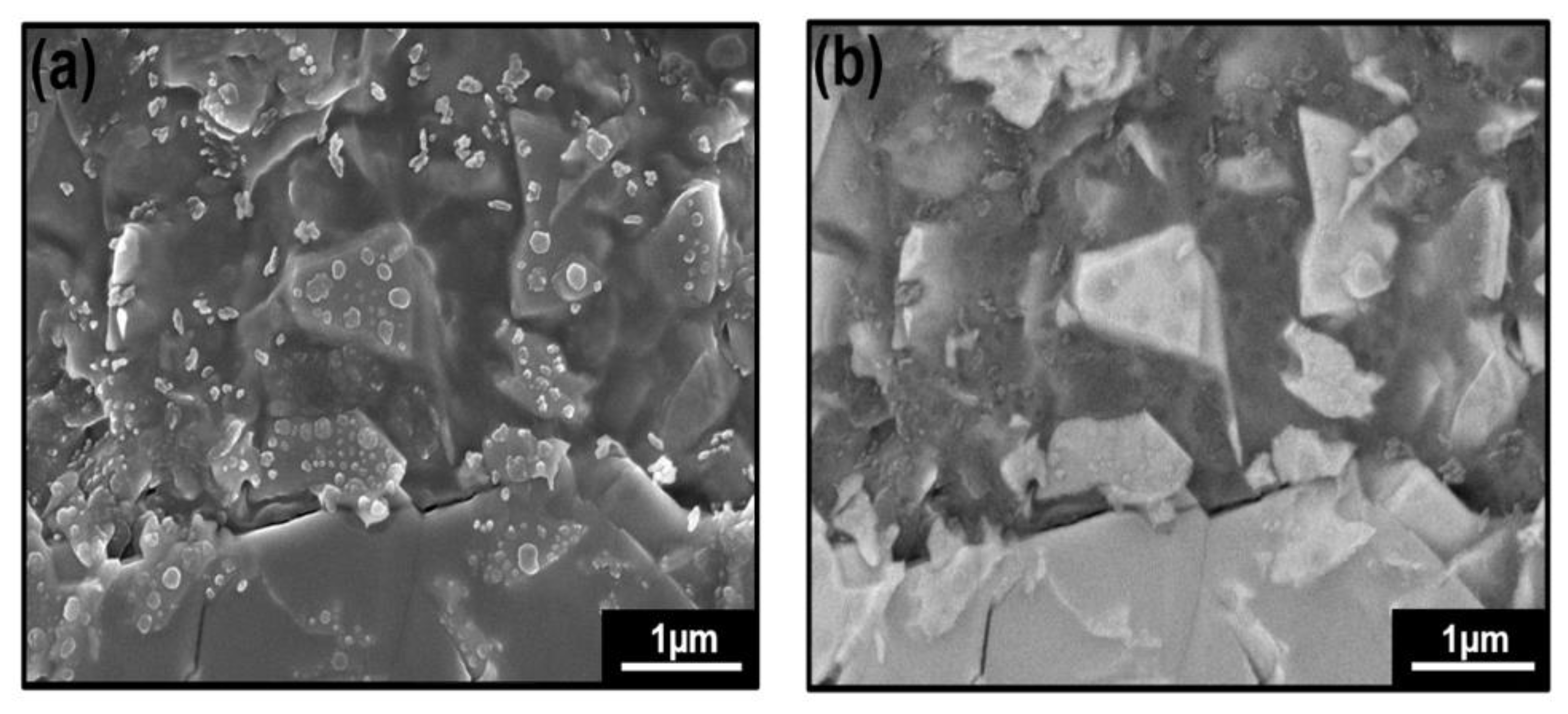 Nanomaterials 12 03171 g004