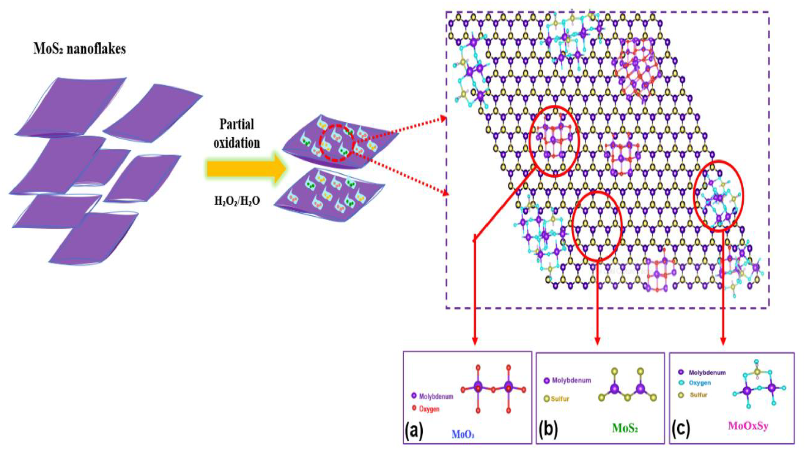 Nanomaterials 12 03171 g009