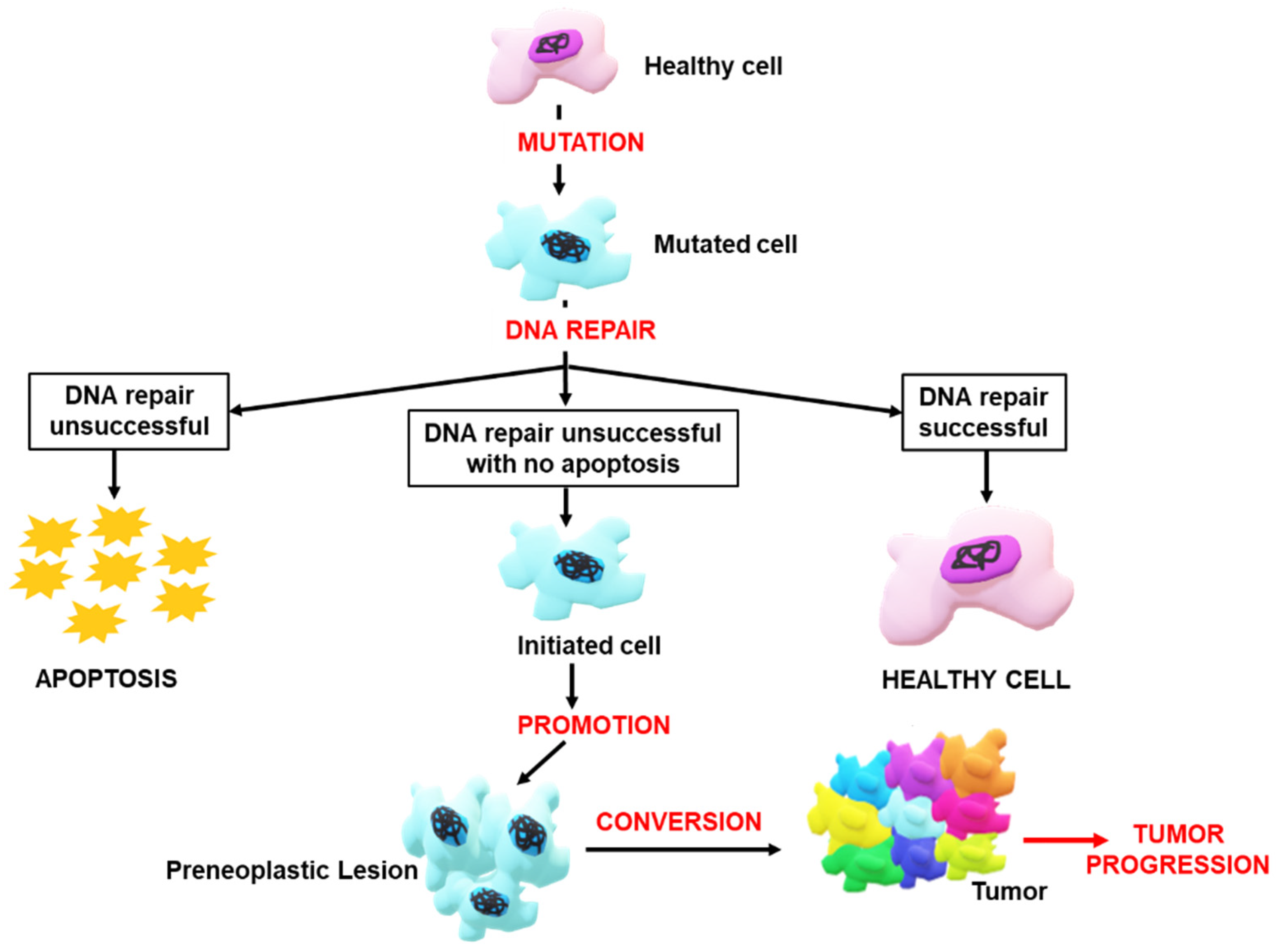 Nanomaterials 12 03201 g003
