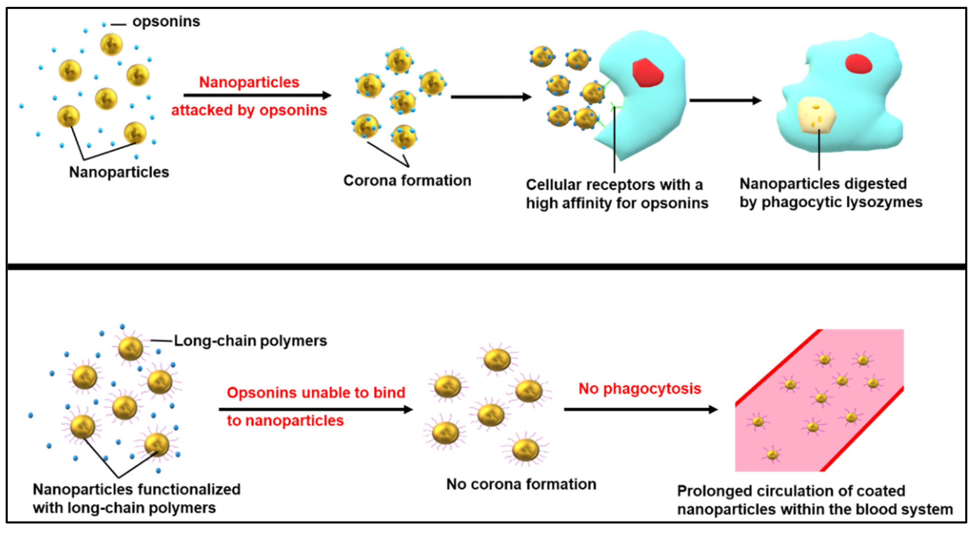 Nanomaterials 12 03201 g005