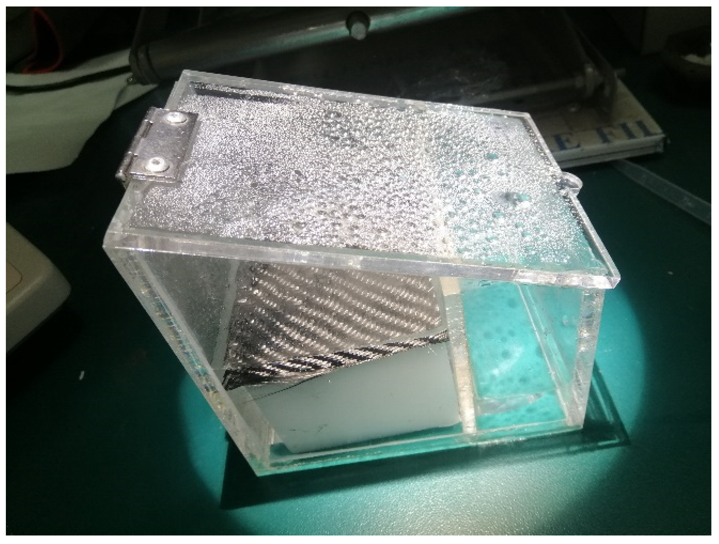 Nanomaterials 12 03206 g008