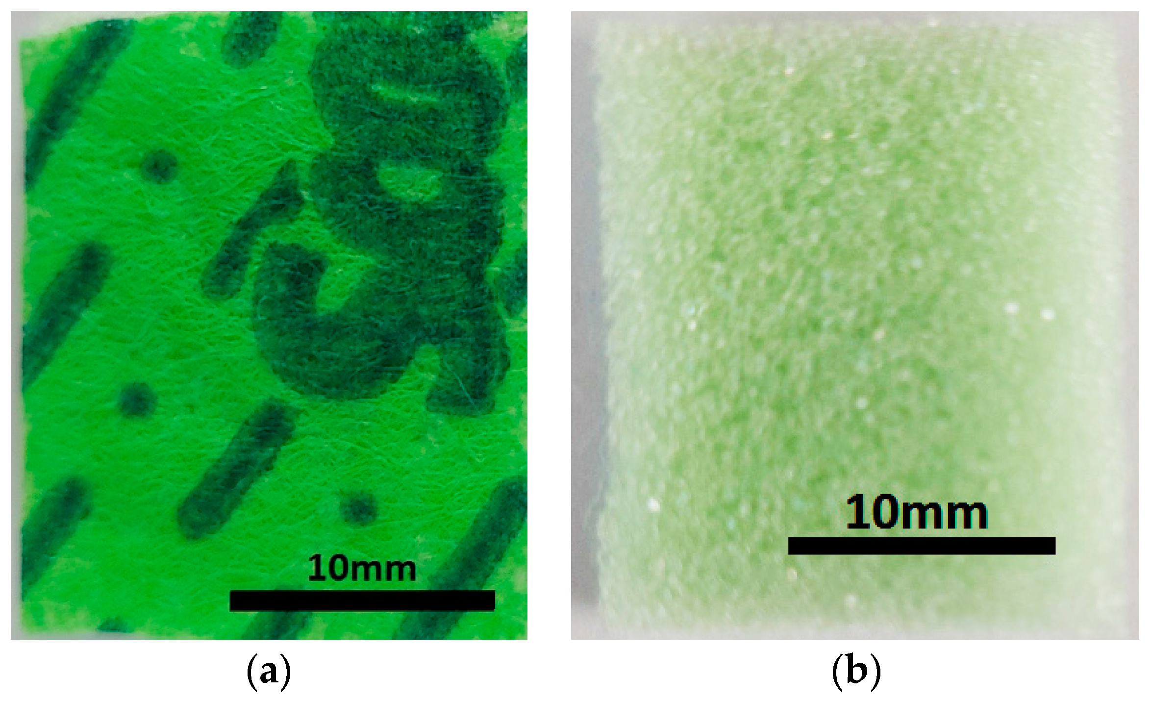 Nanomaterials 12 03231 g003