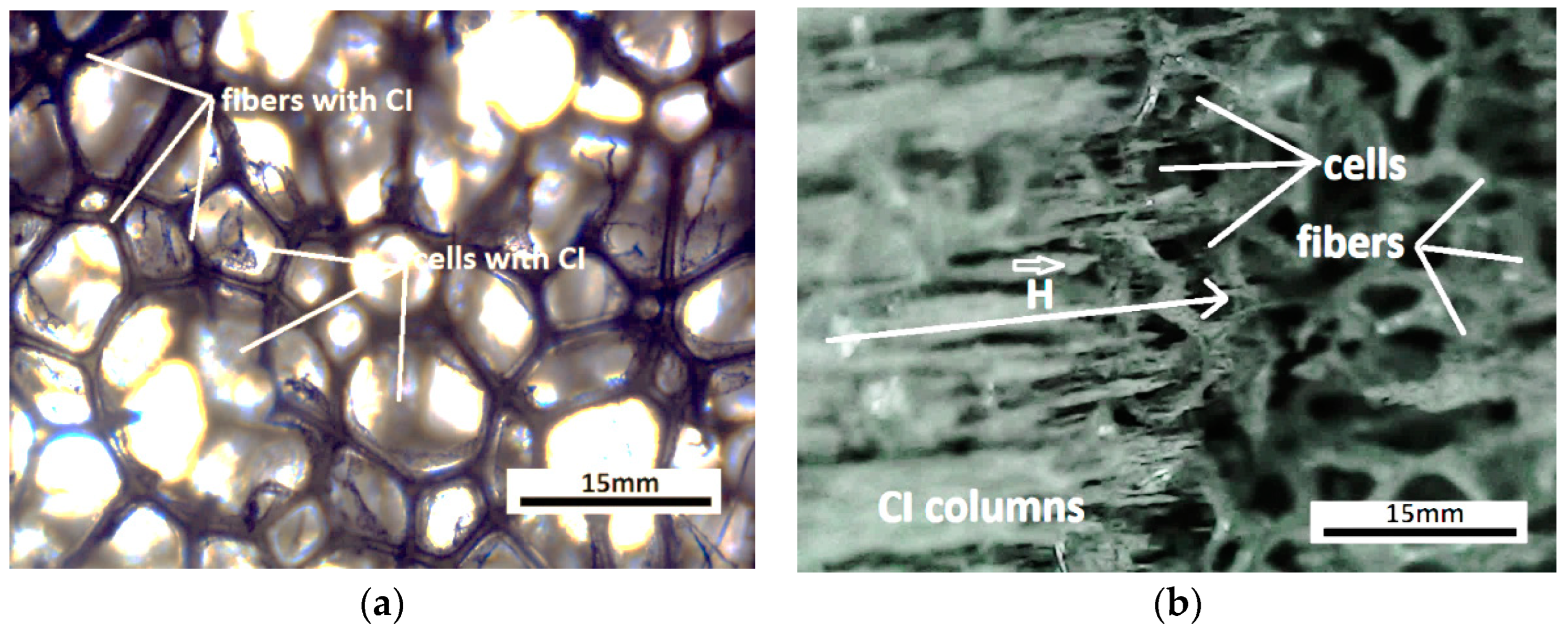 Nanomaterials 12 03231 g006