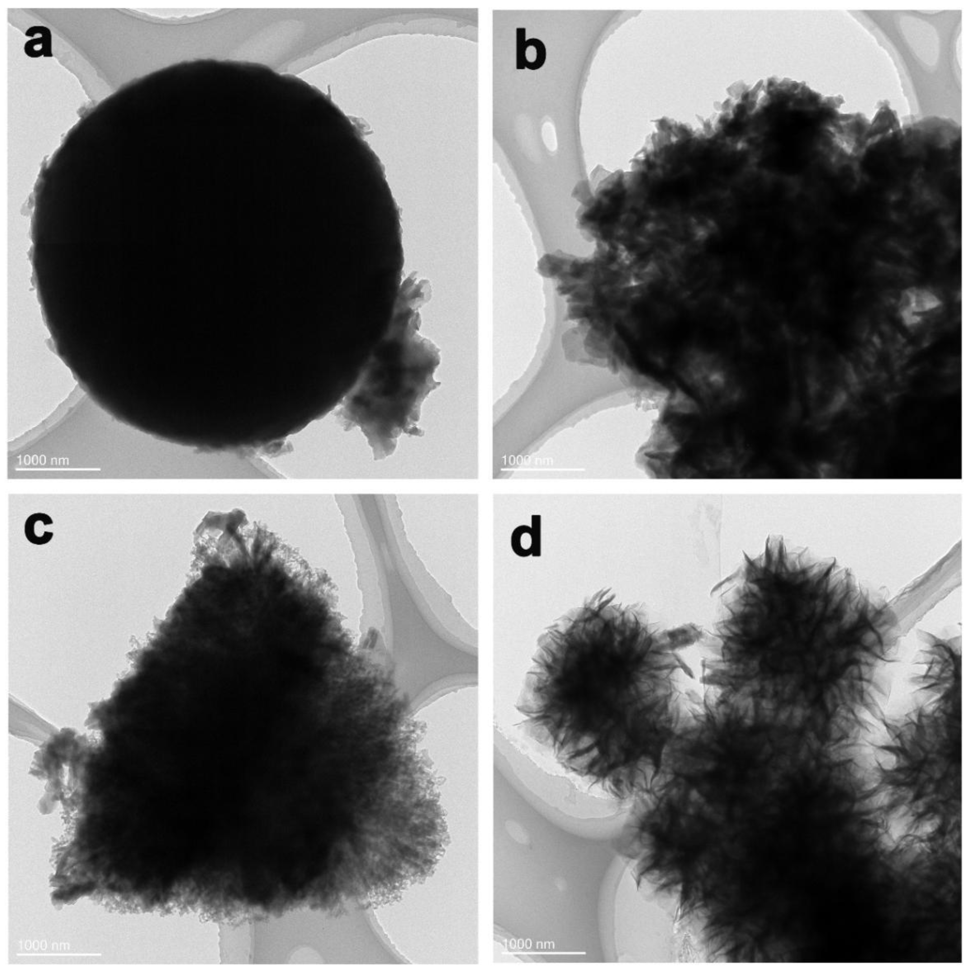 Nanomaterials 12 03234 g004