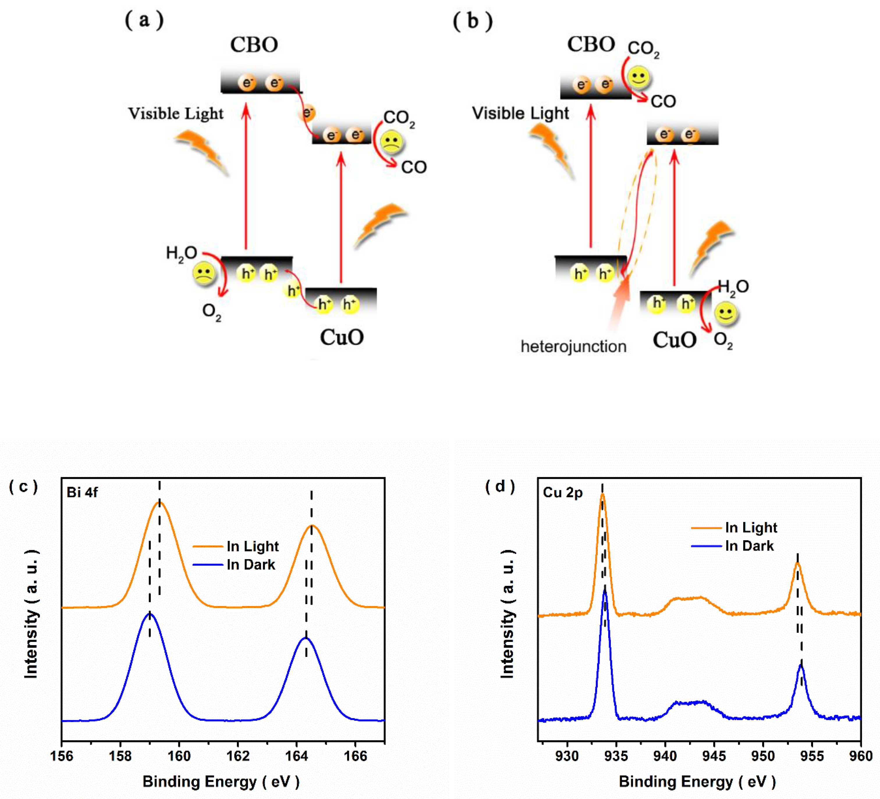 Nanomaterials 12 03247 g007