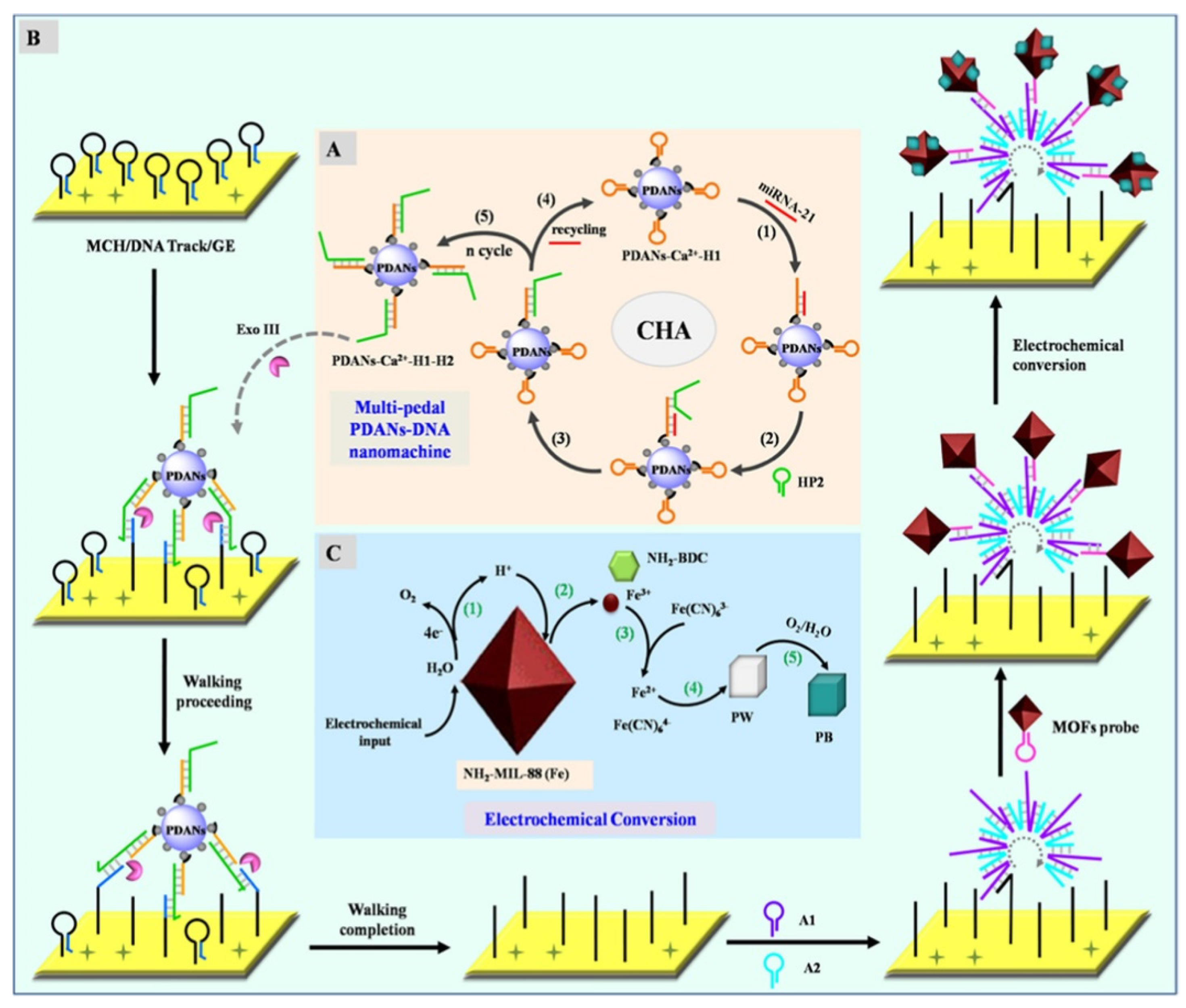 Nanomaterials 12 03248 g015