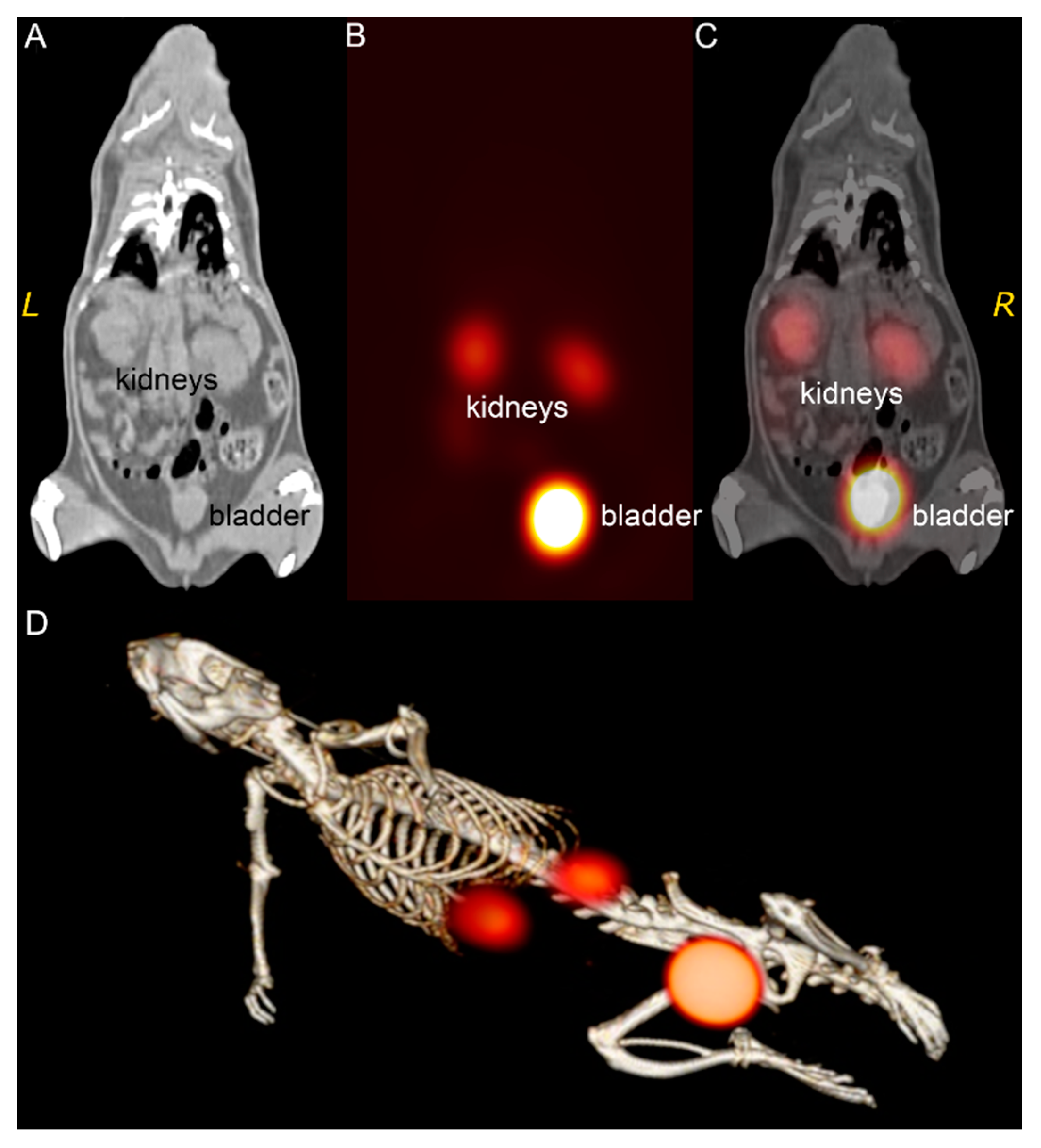 Nanomaterials 12 03259 g004 Nanomaterials 12 03259 g004
