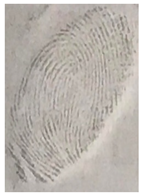 Nanomaterials 12 03277 i013