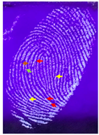 Nanomaterials 12 03277 i014