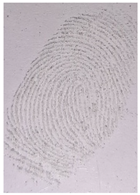 Nanomaterials 12 03277 i015