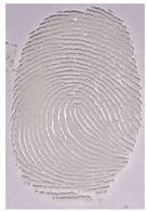 Nanomaterials 12 03277 i017