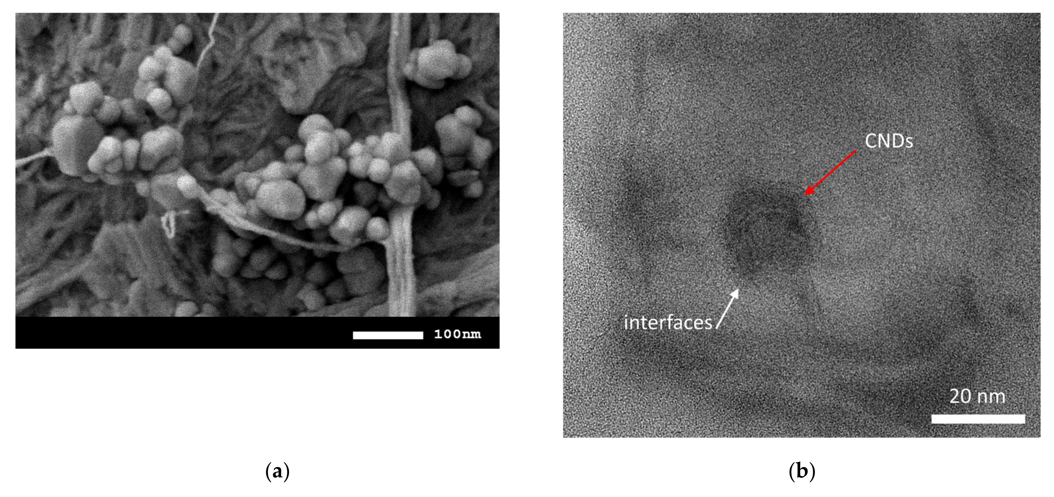 Nanomaterials 12 03310 g005a Nanomaterials 12 03310 g005a