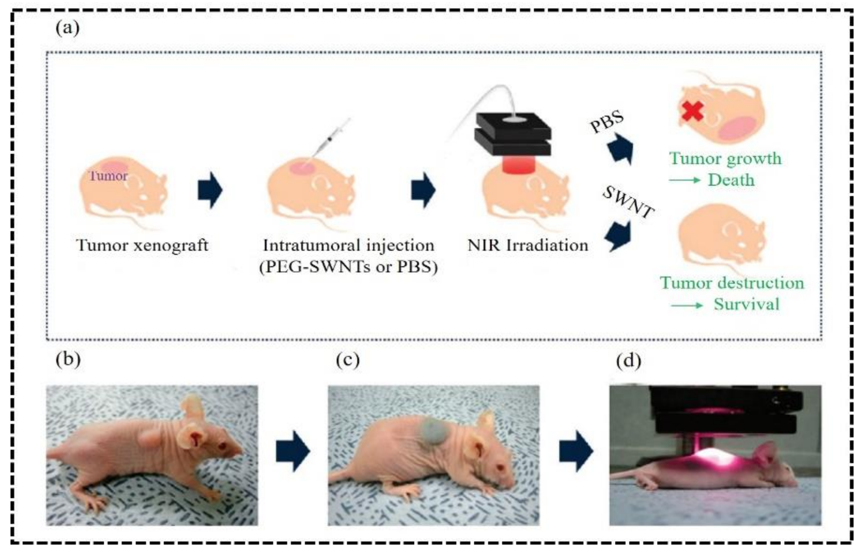 Nanomaterials 12 03318 g002 Nanomaterials 12 03318 g002
