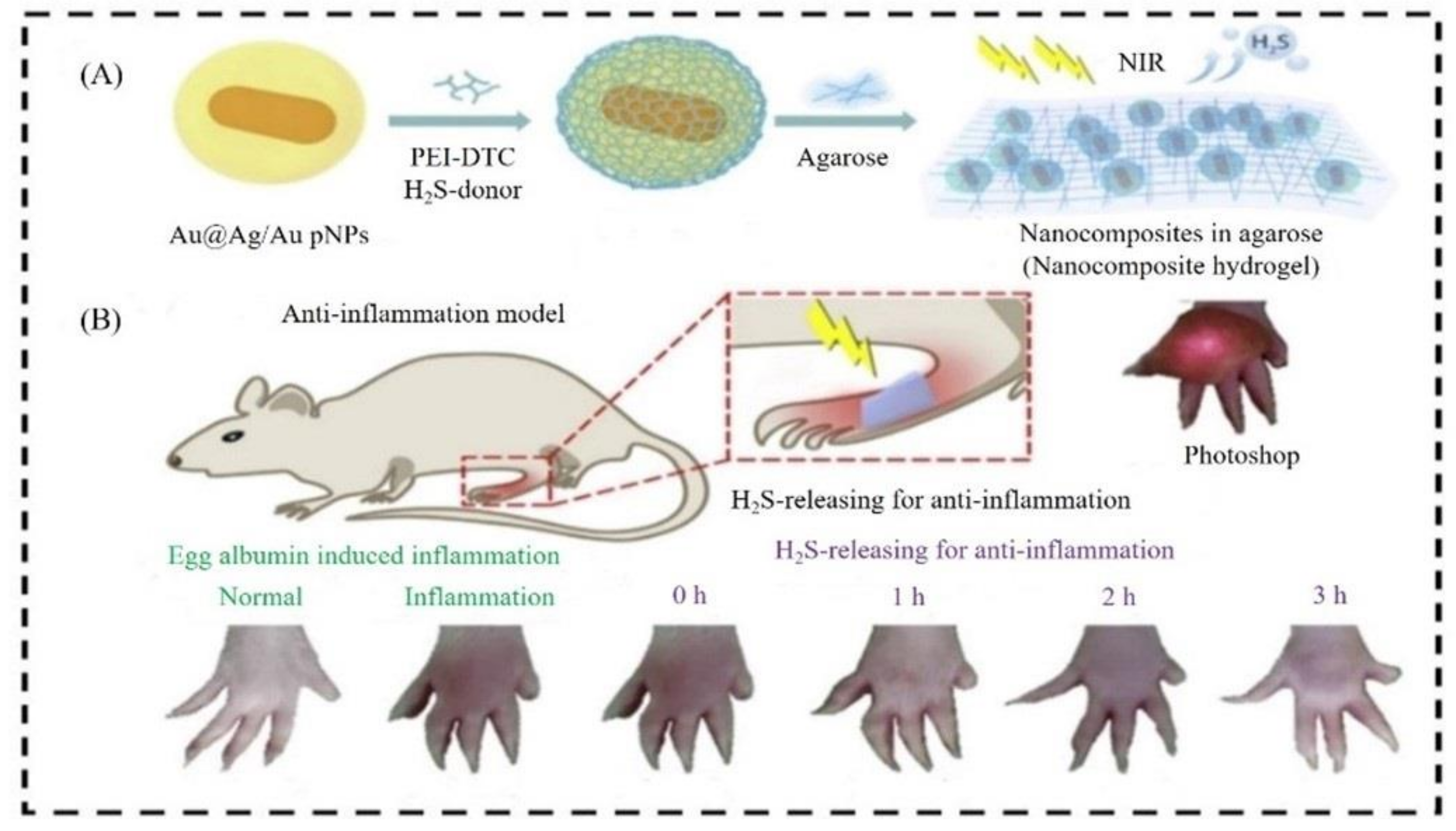 Nanomaterials 12 03318 g003 Nanomaterials 12 03318 g003