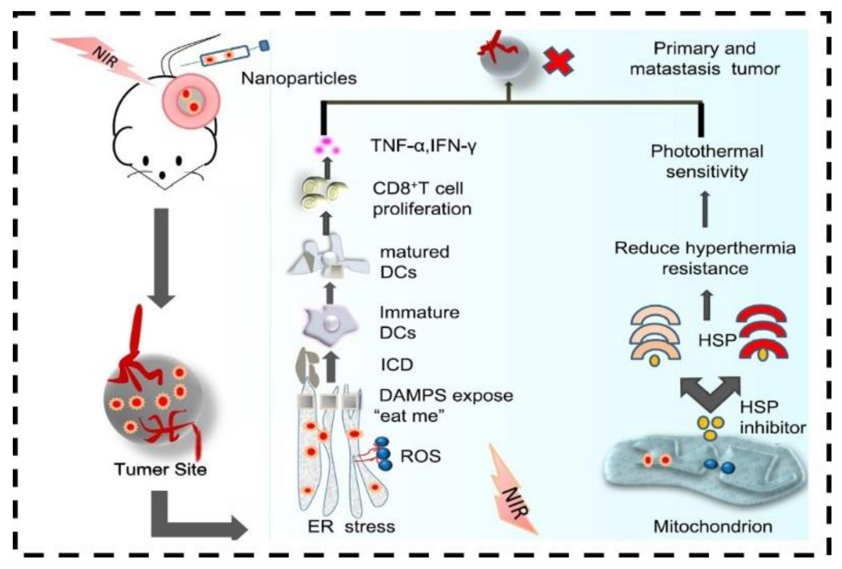 Nanomaterials 12 03318 g008 Nanomaterials 12 03318 g008