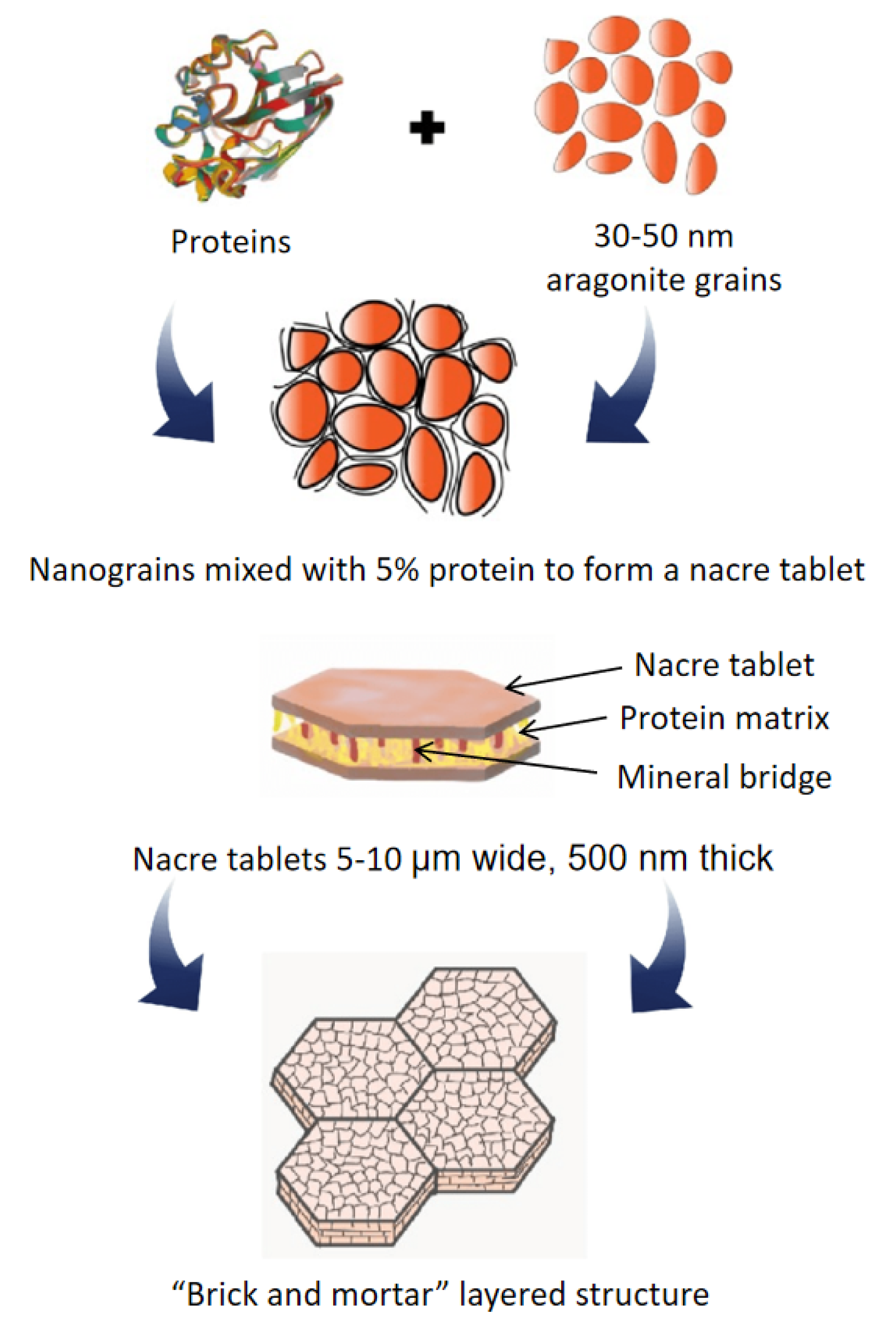 Nanomaterials 12 03333 g001