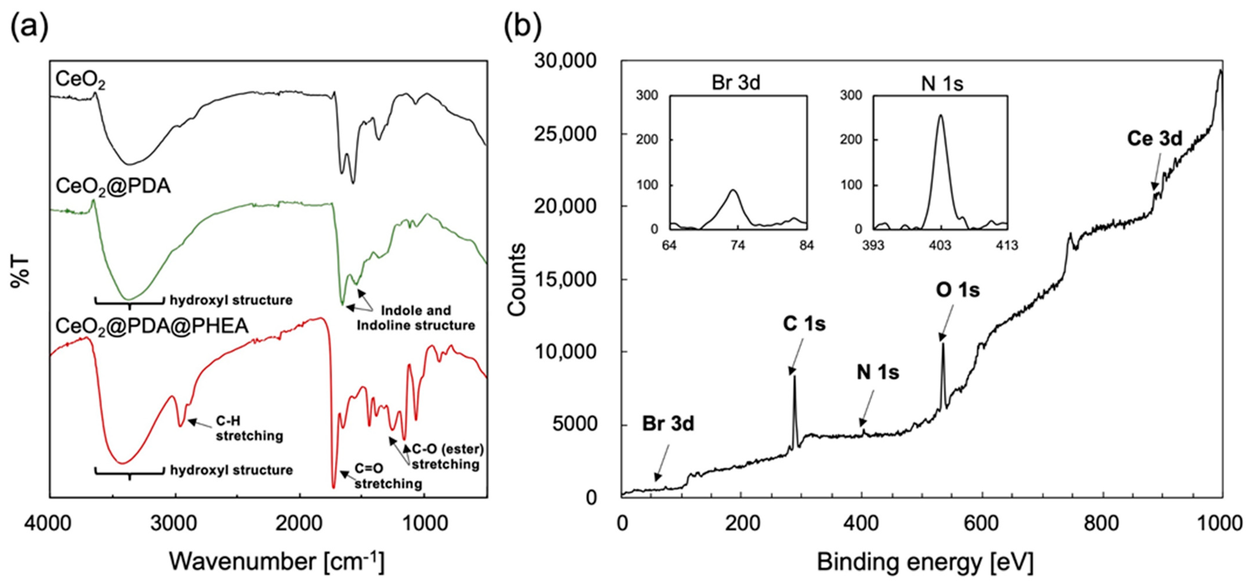 Nanomaterials 12 03338 g002