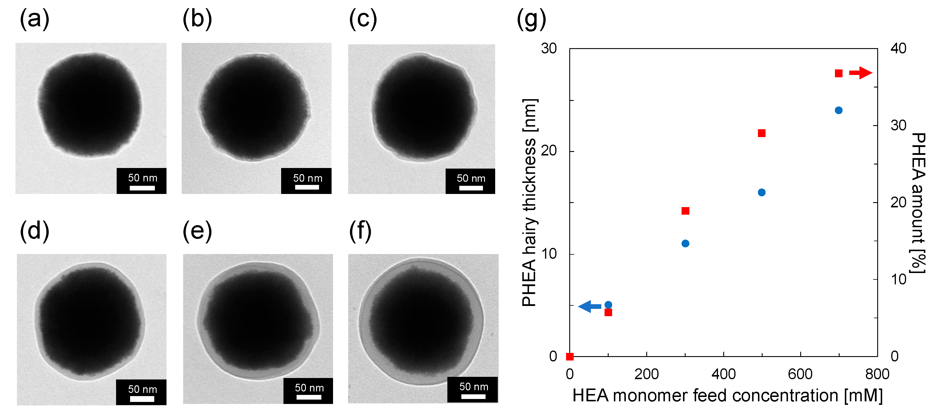 Nanomaterials 12 03338 g003