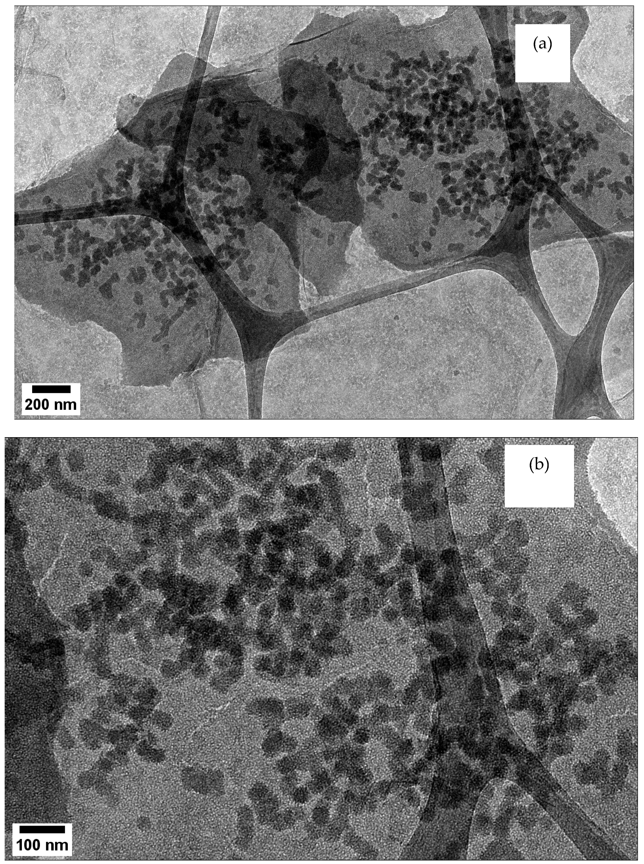 Nanomaterials 12 03341 g007a
