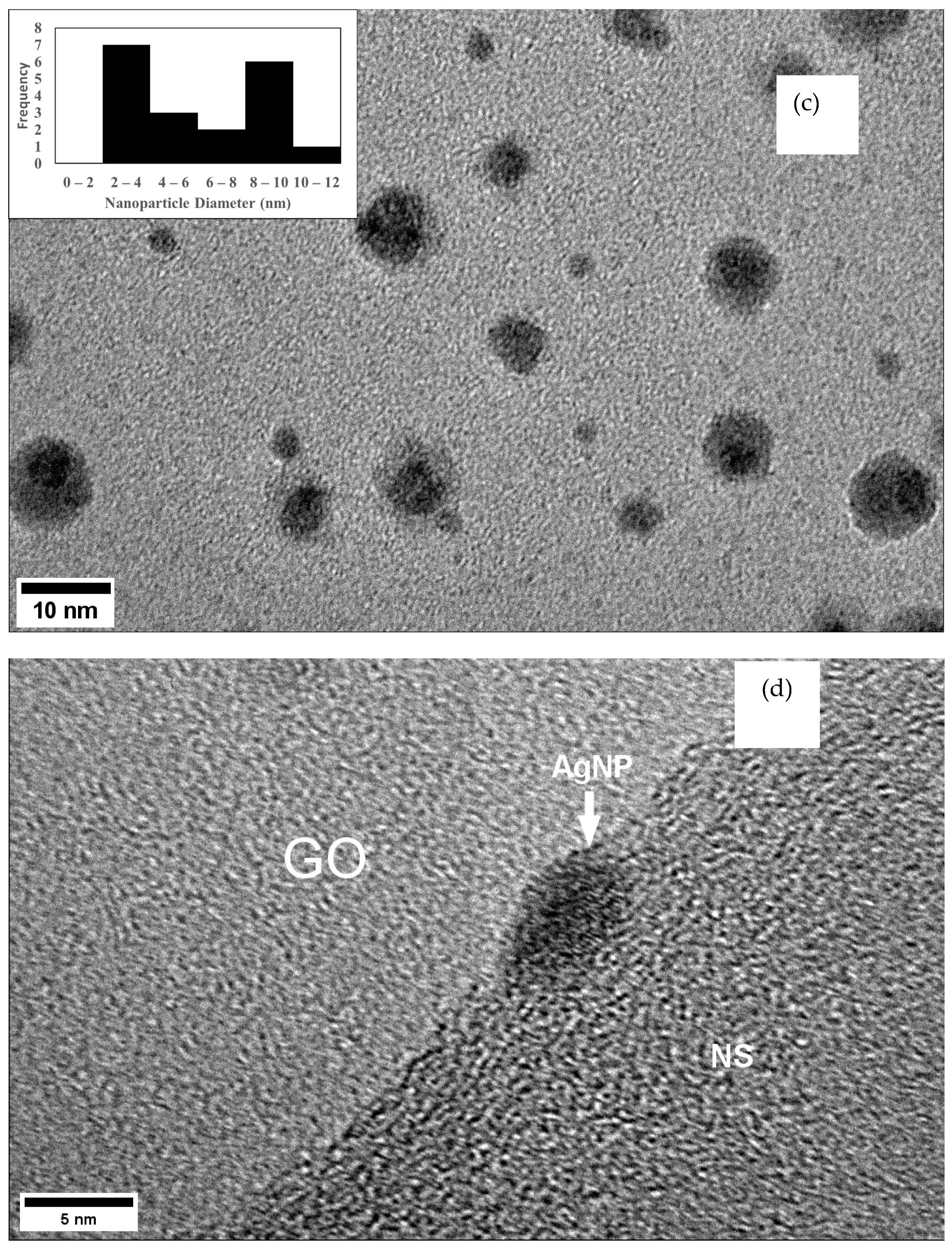 Nanomaterials 12 03341 g007b