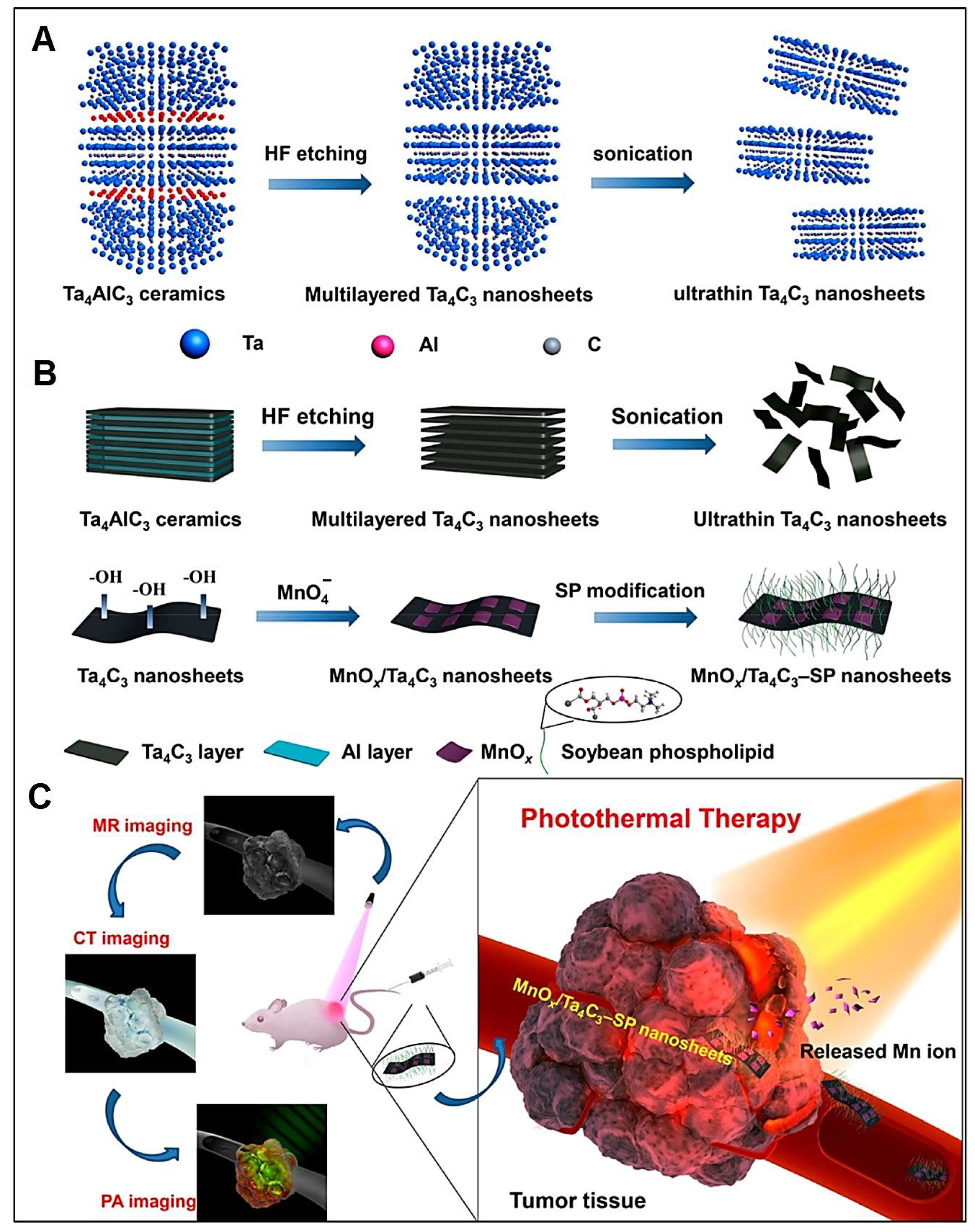 Nanomaterials 12 03360 g002 Nanomaterials 12 03360 g002