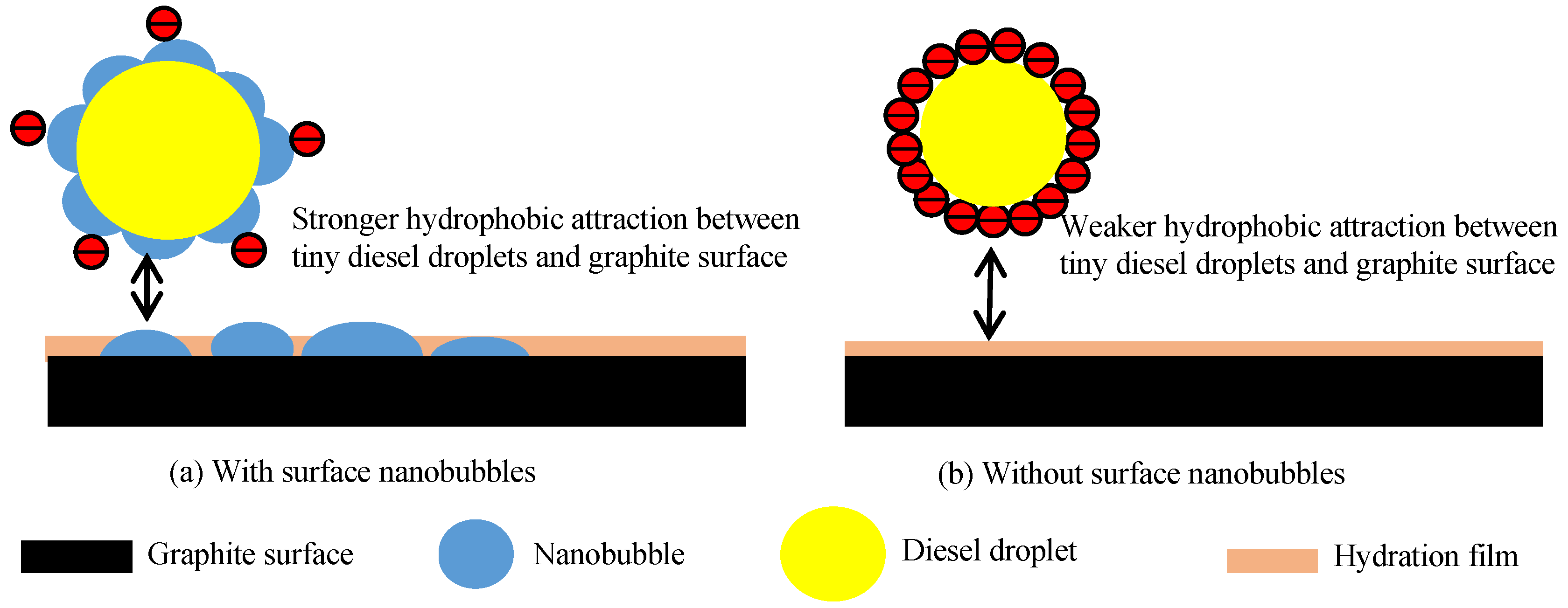 Nanomaterials 12 03361 g012