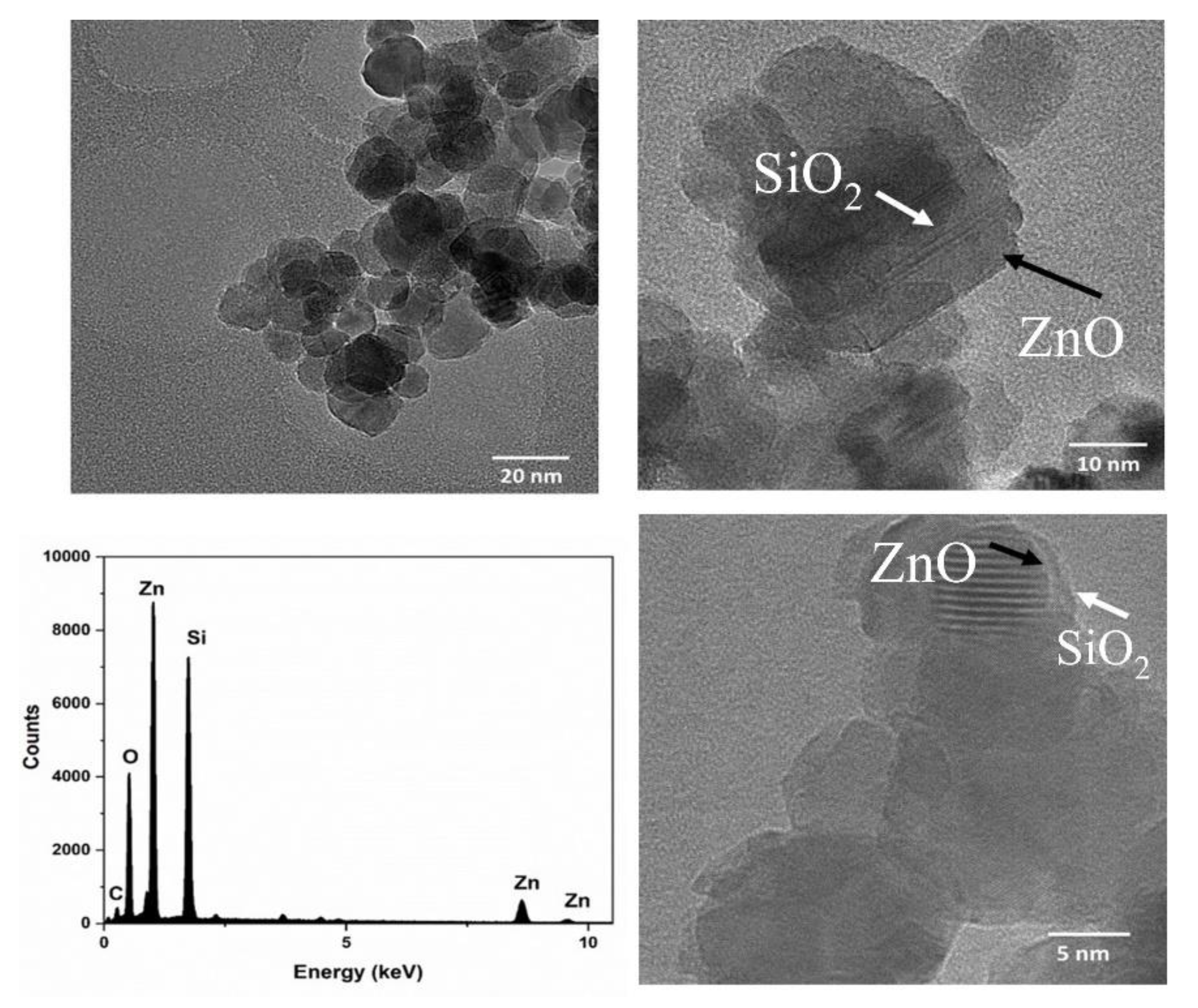 Nanomaterials 12 03368 g001