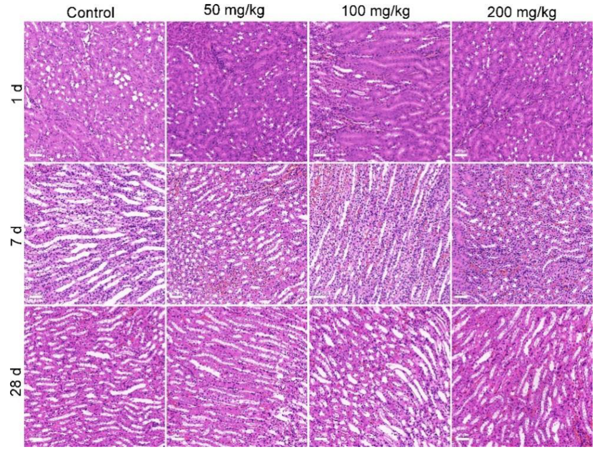 Nanomaterials 12 03398 g006 Nanomaterials 12 03398 g006