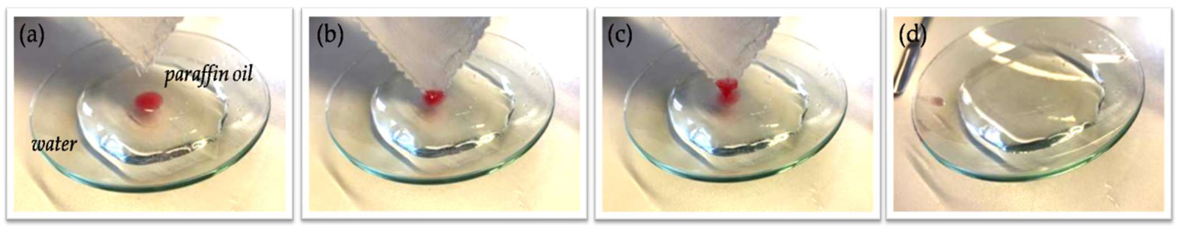 Nanomaterials 12 03404 g012 Nanomaterials 12 03404 g012