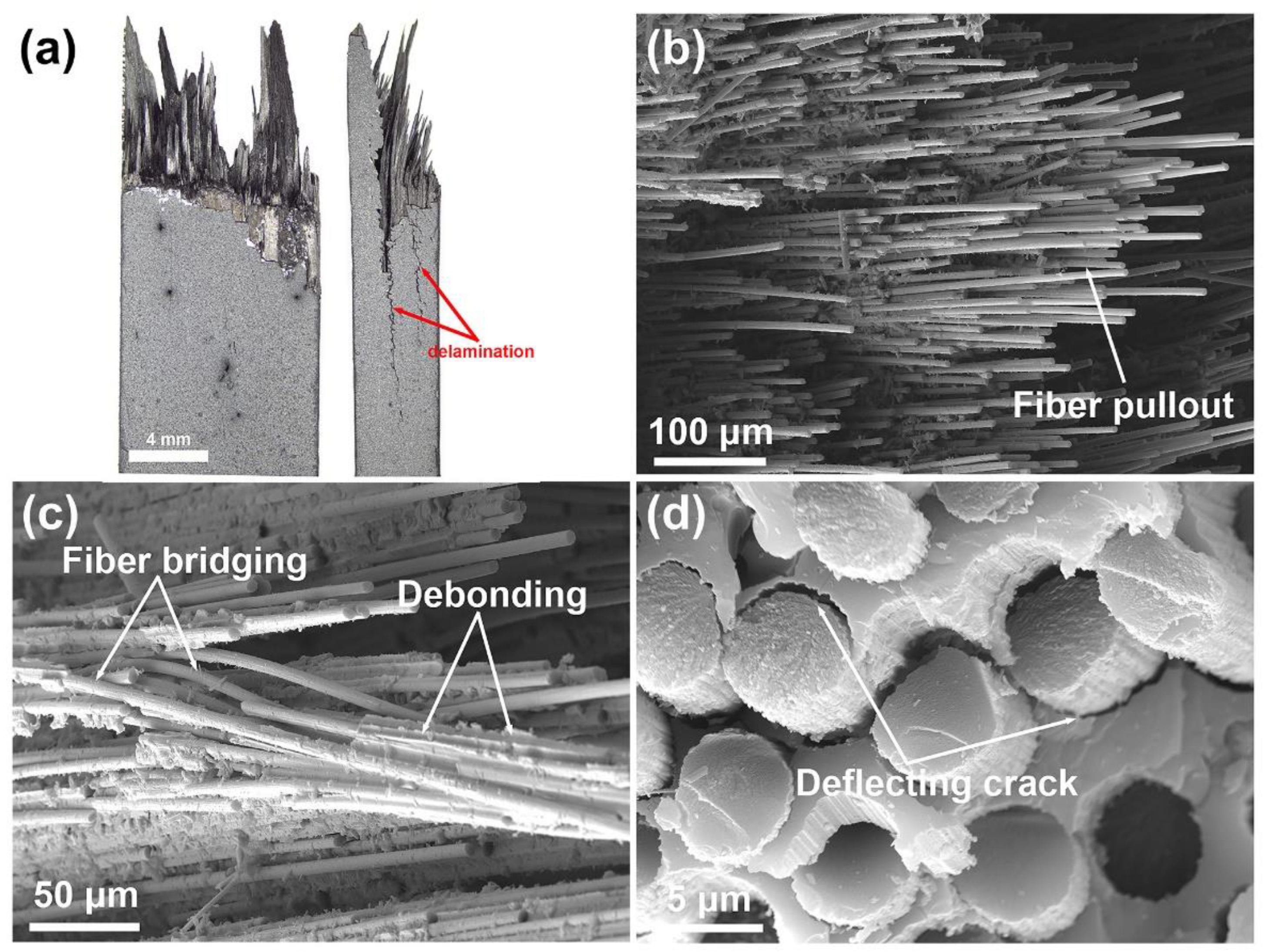 Nanomaterials 12 03406 g009
