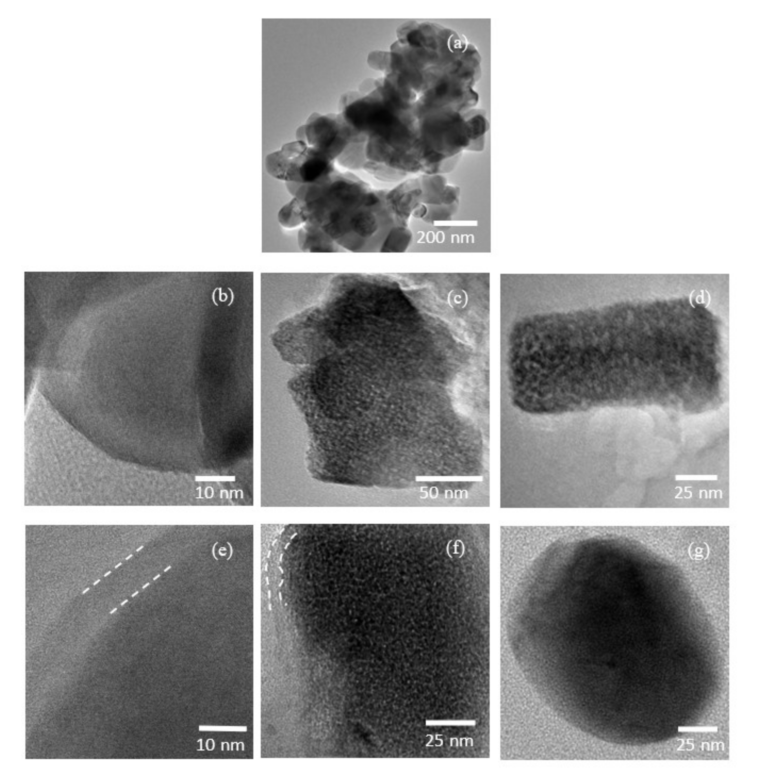 Nanomaterials 12 03425 g010