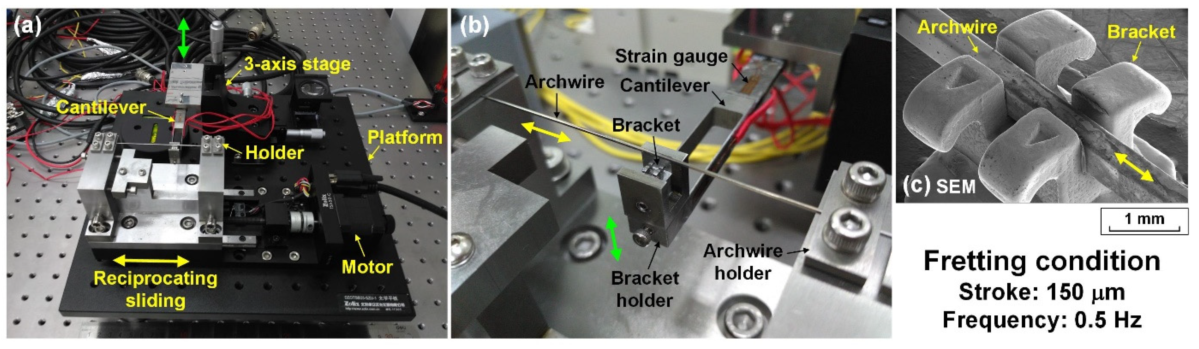 Nanomaterials 12 03430 g001