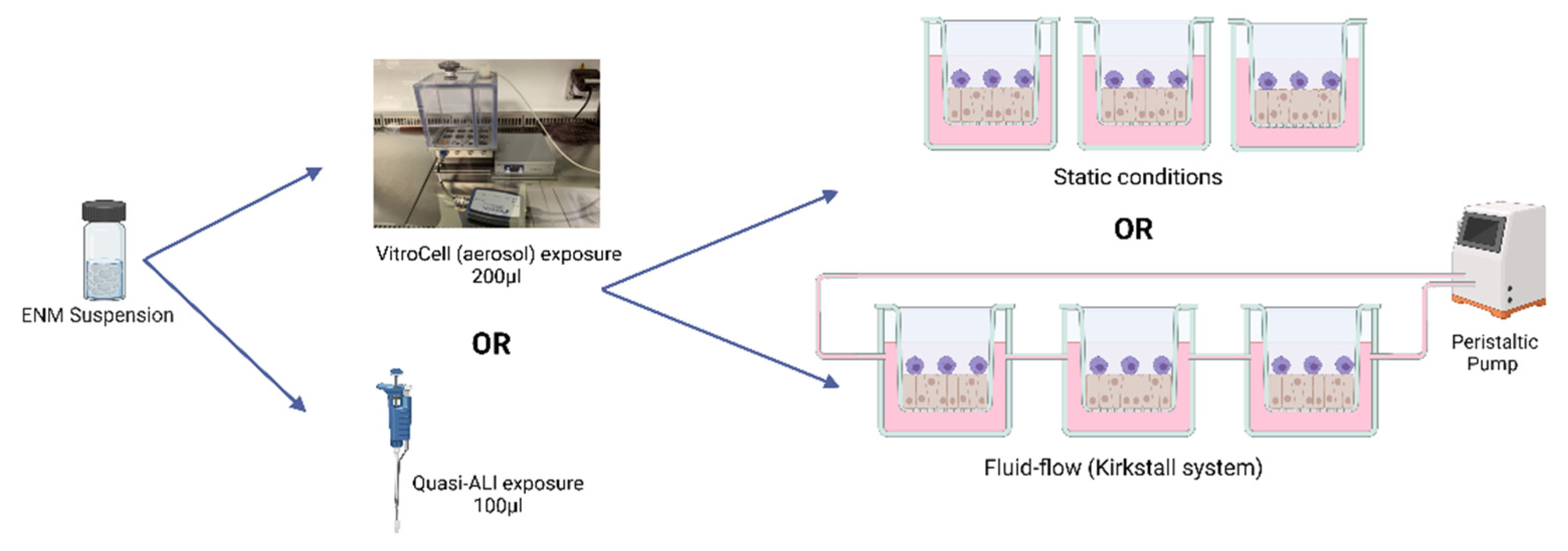 Nanomaterials 12 03431 g001 Nanomaterials 12 03431 g001