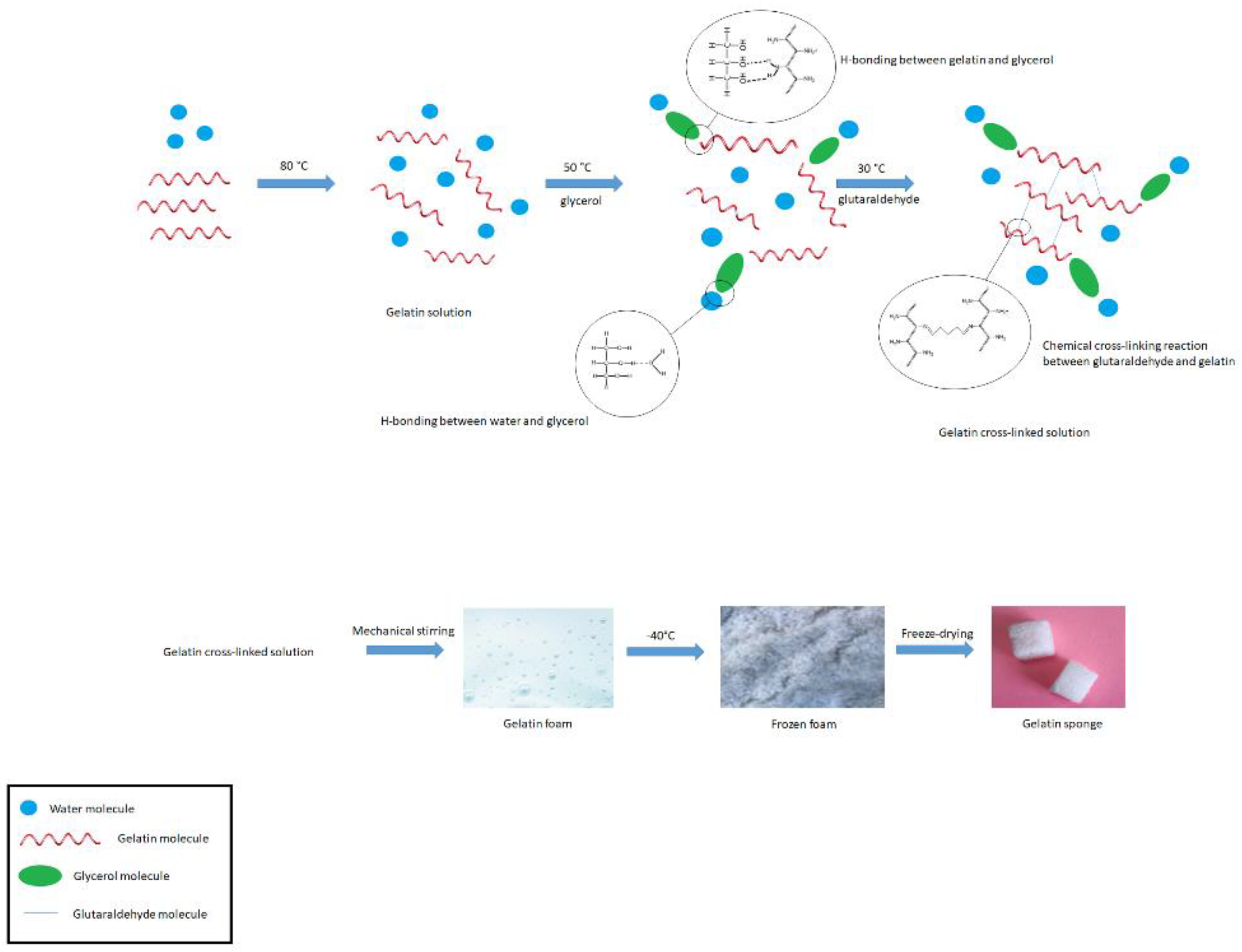 Nanomaterials | Free Full-Text | A Biodegradable Flexible  Micro/Nano-Structured Porous Hemostatic Dental Sponge