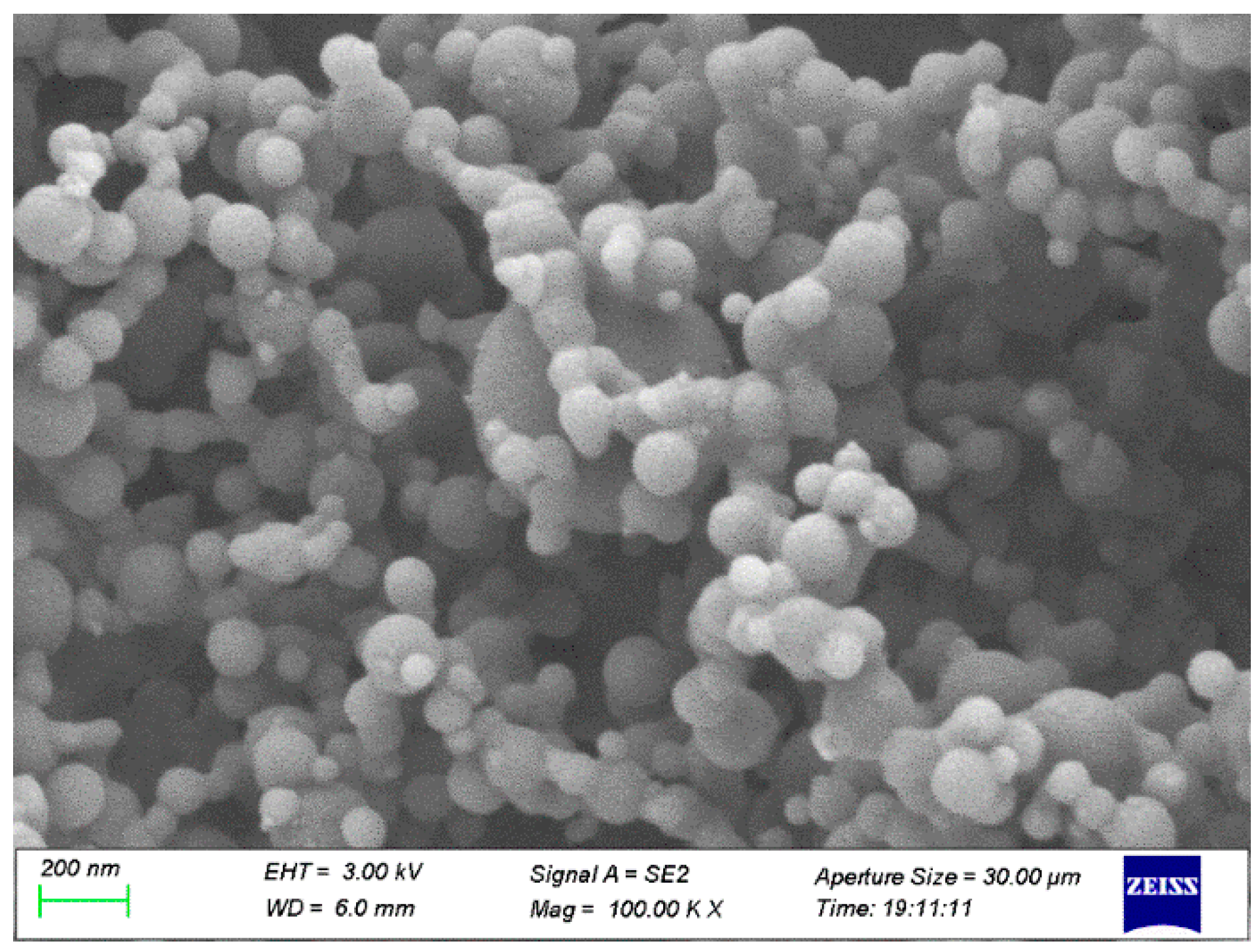 Nanomaterials 12 03446 g001