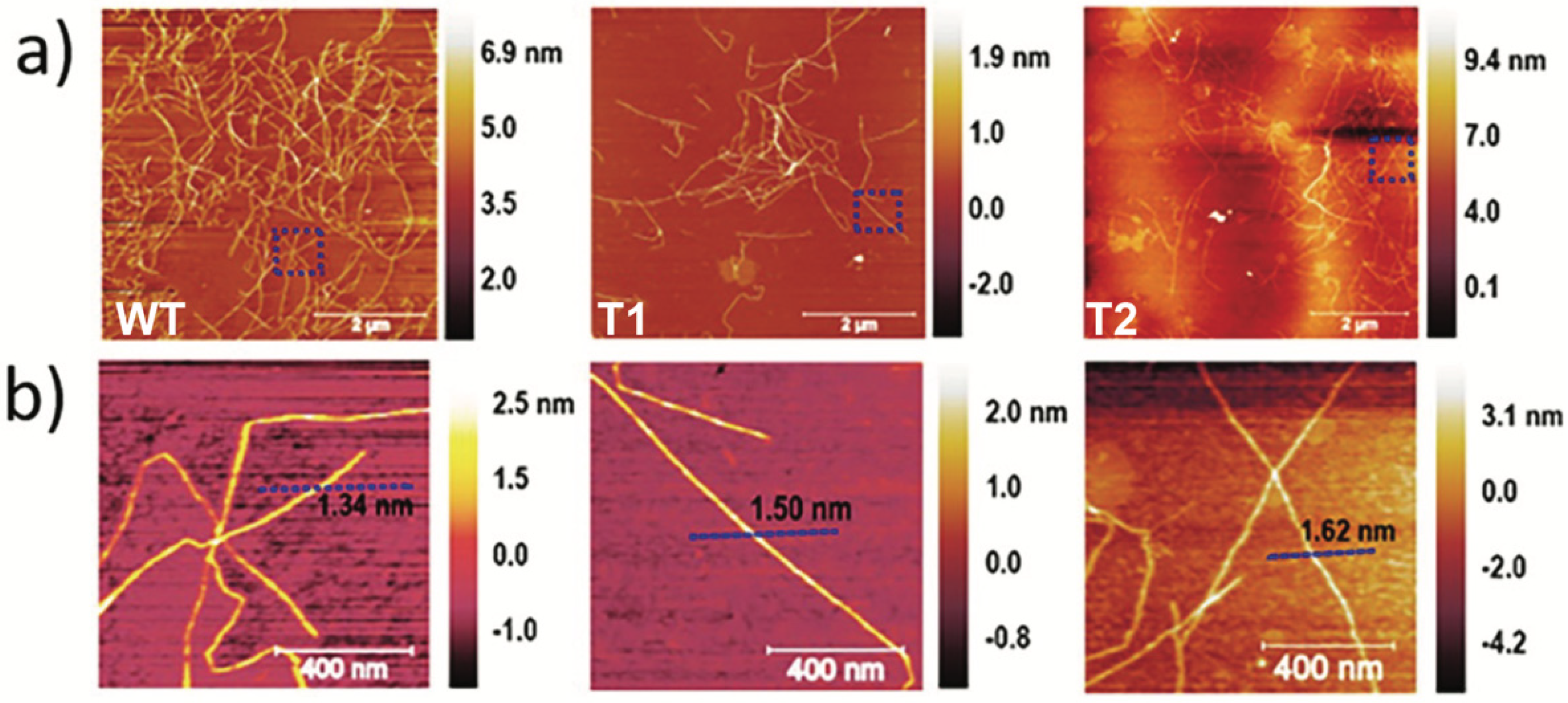 Nanomaterials 12 03448 g002 Nanomaterials 12 03448 g002