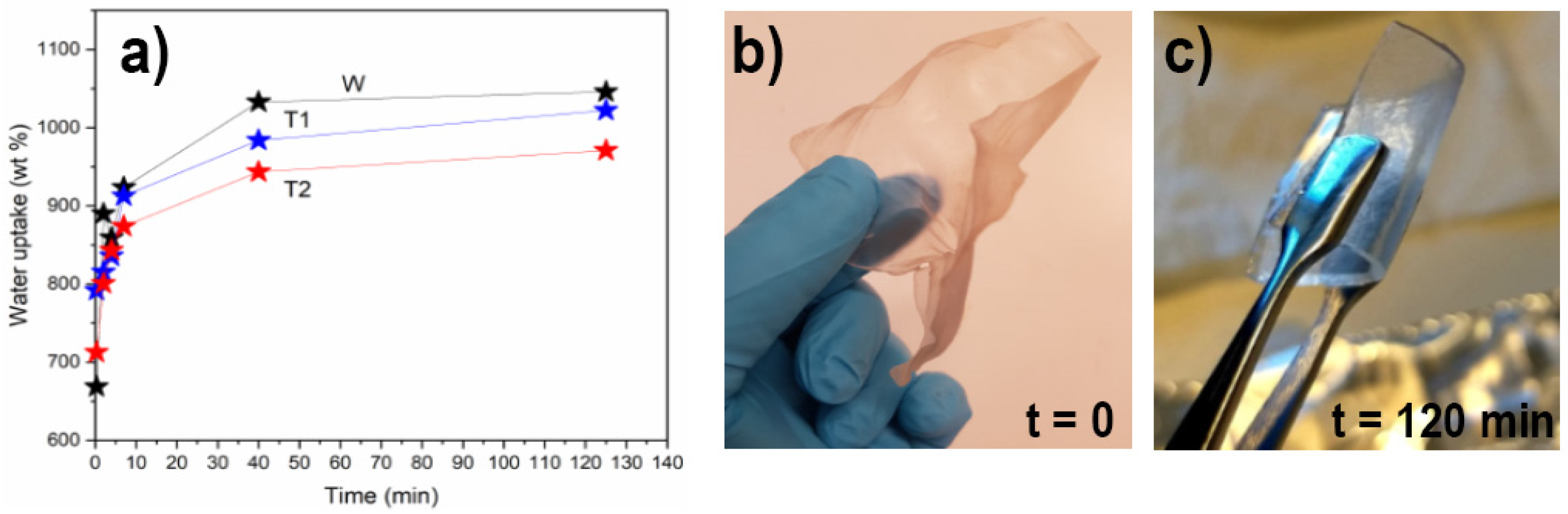 Nanomaterials 12 03448 g003 Nanomaterials 12 03448 g003