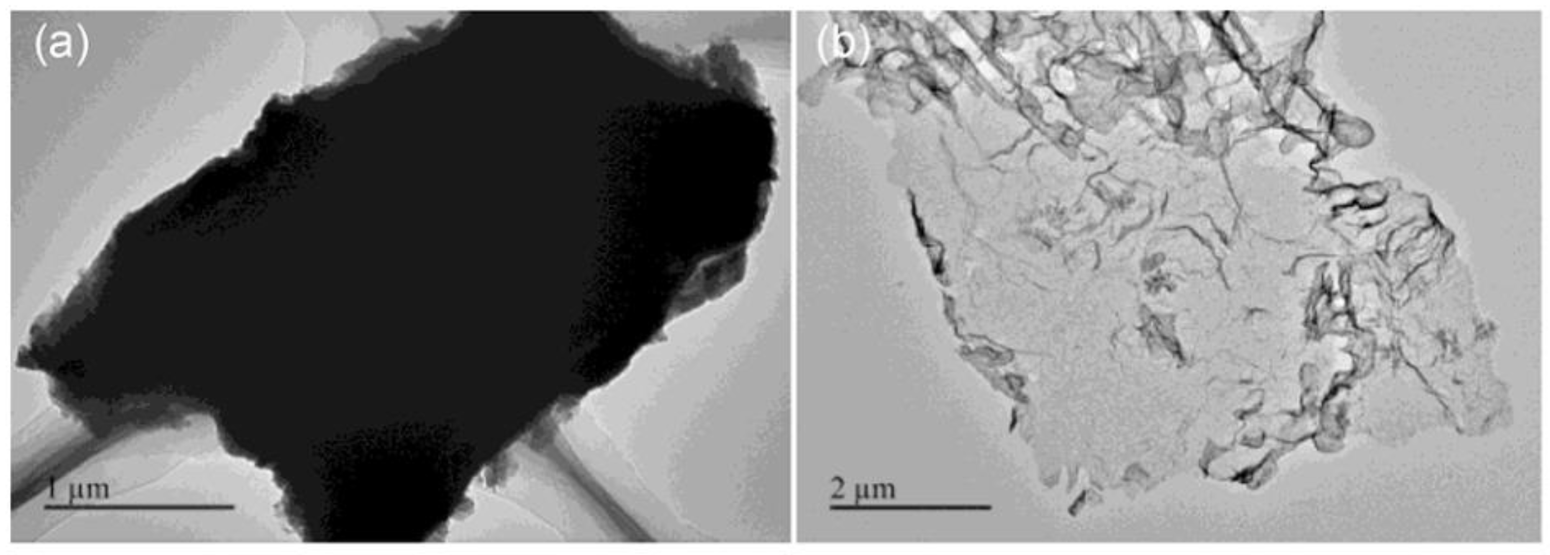 Nanomaterials 12 03494 g004 Nanomaterials 12 03494 g004