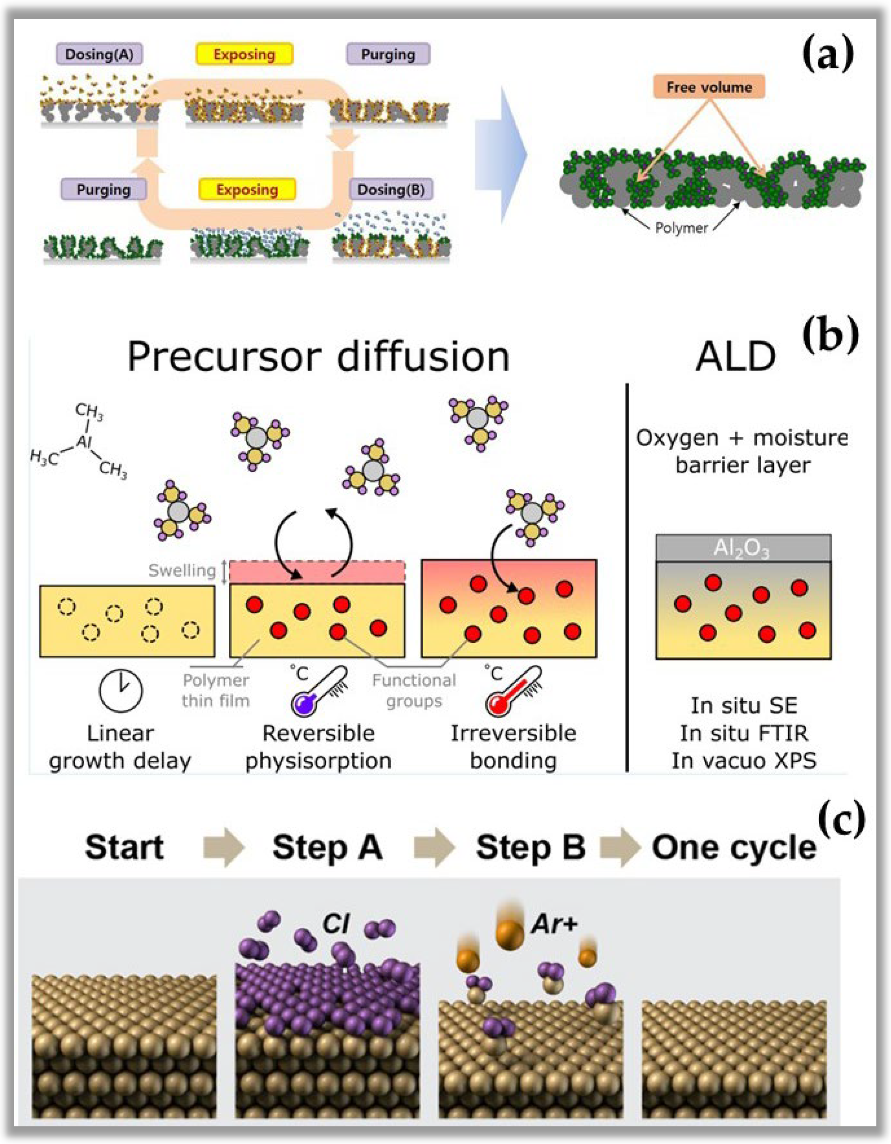 Nanomaterials 12 03497 g004