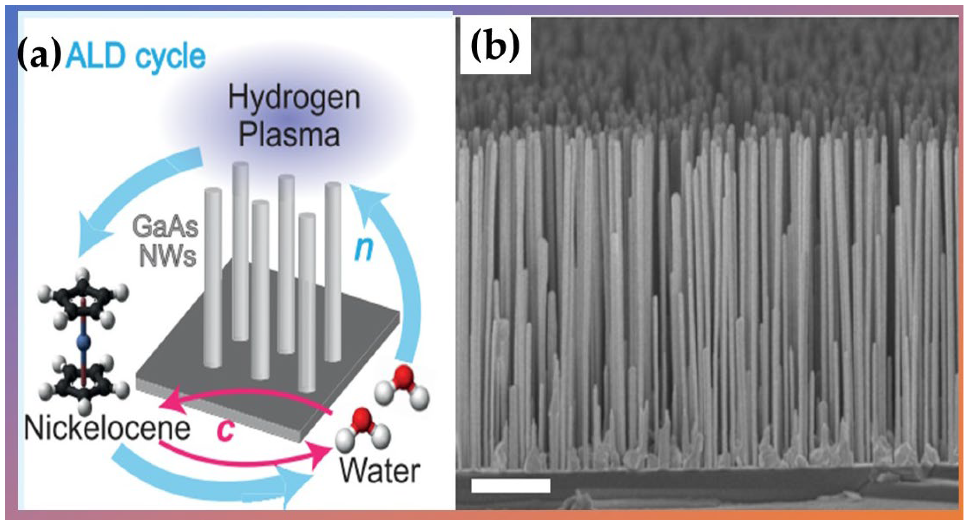 Nanomaterials 12 03497 g011