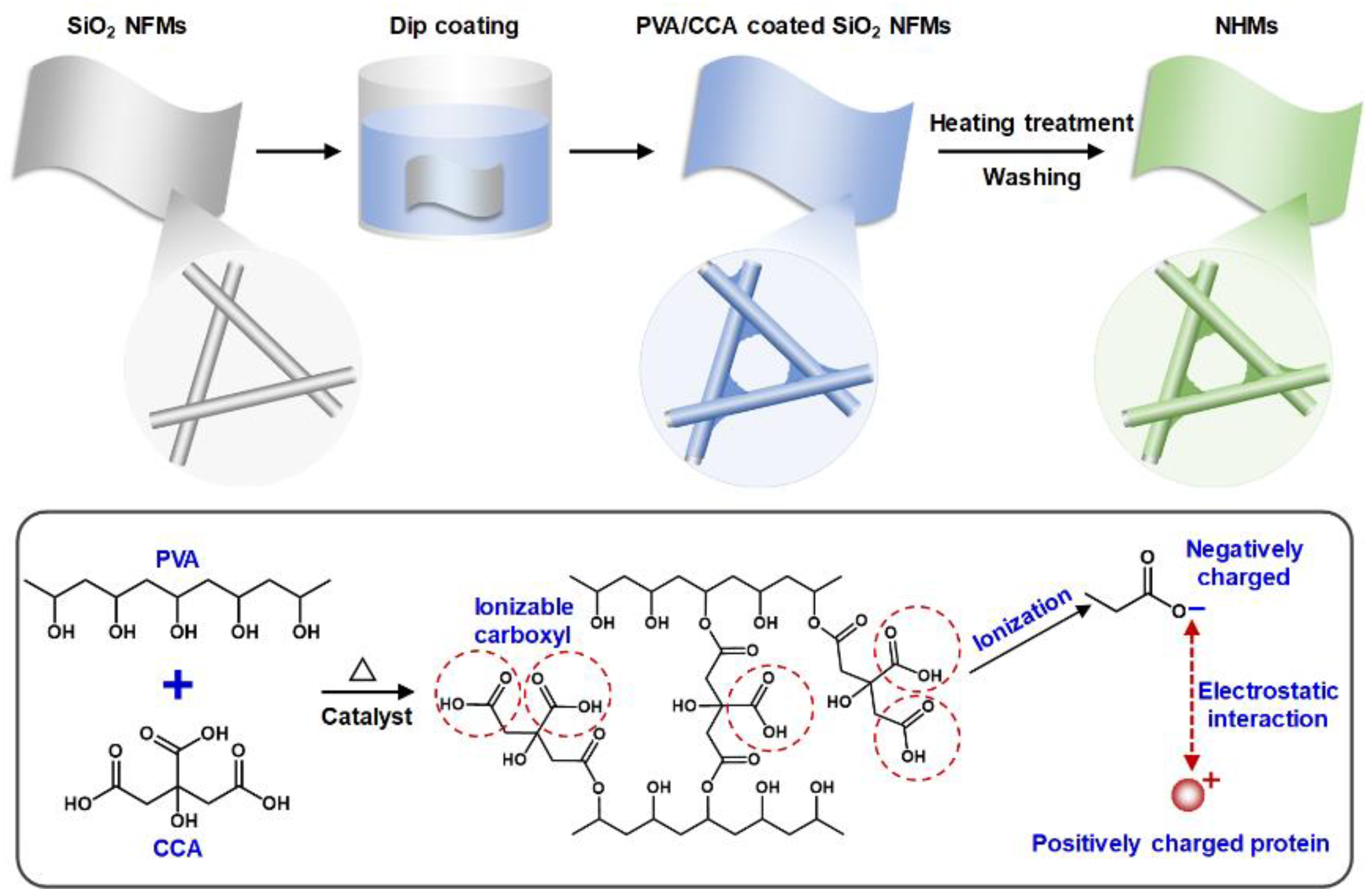 Nanomaterials 12 03500 sch001