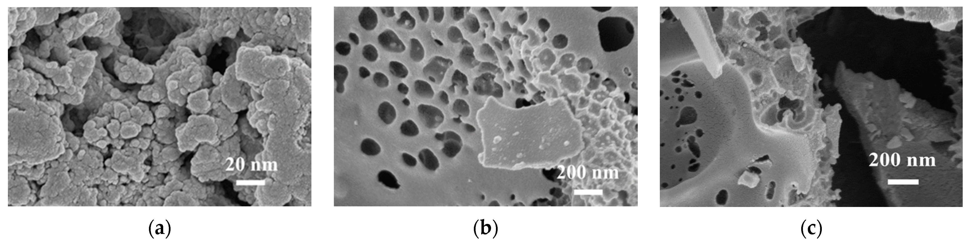 Nanomaterials 12 03504 g001a