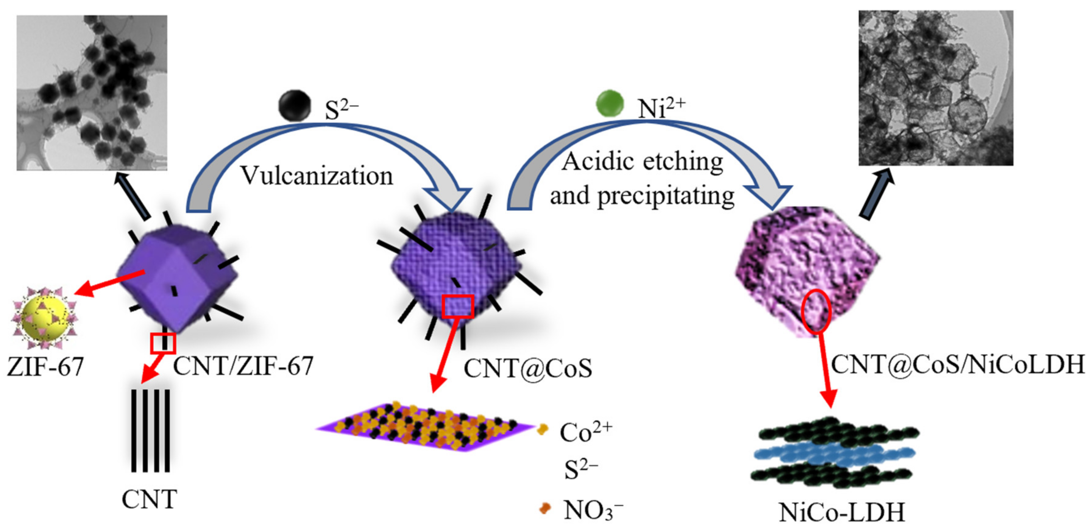 Nanomaterials 12 03509 g001