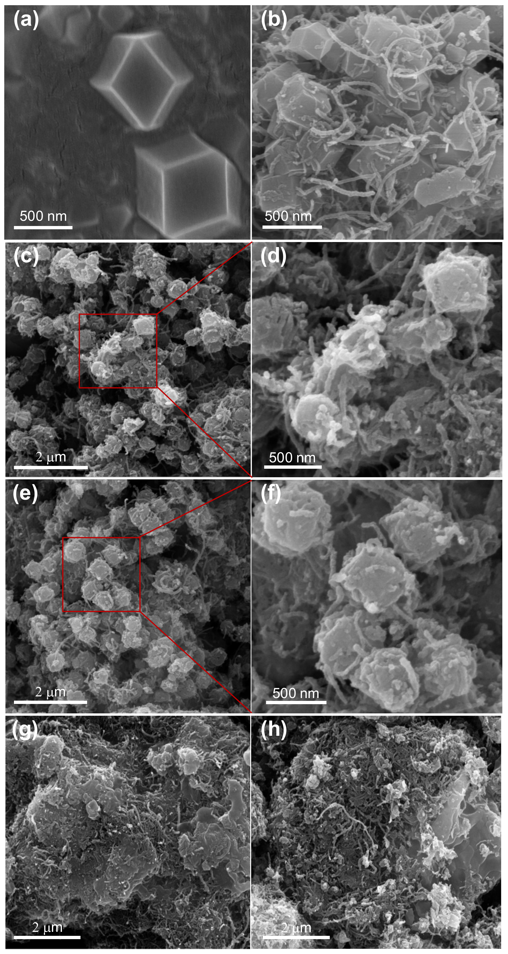Nanomaterials 12 03509 g002