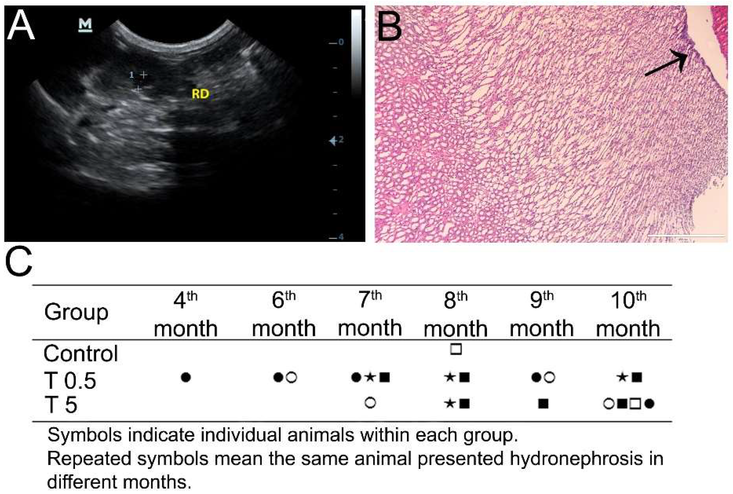 Nanomaterials 12 03513 g004