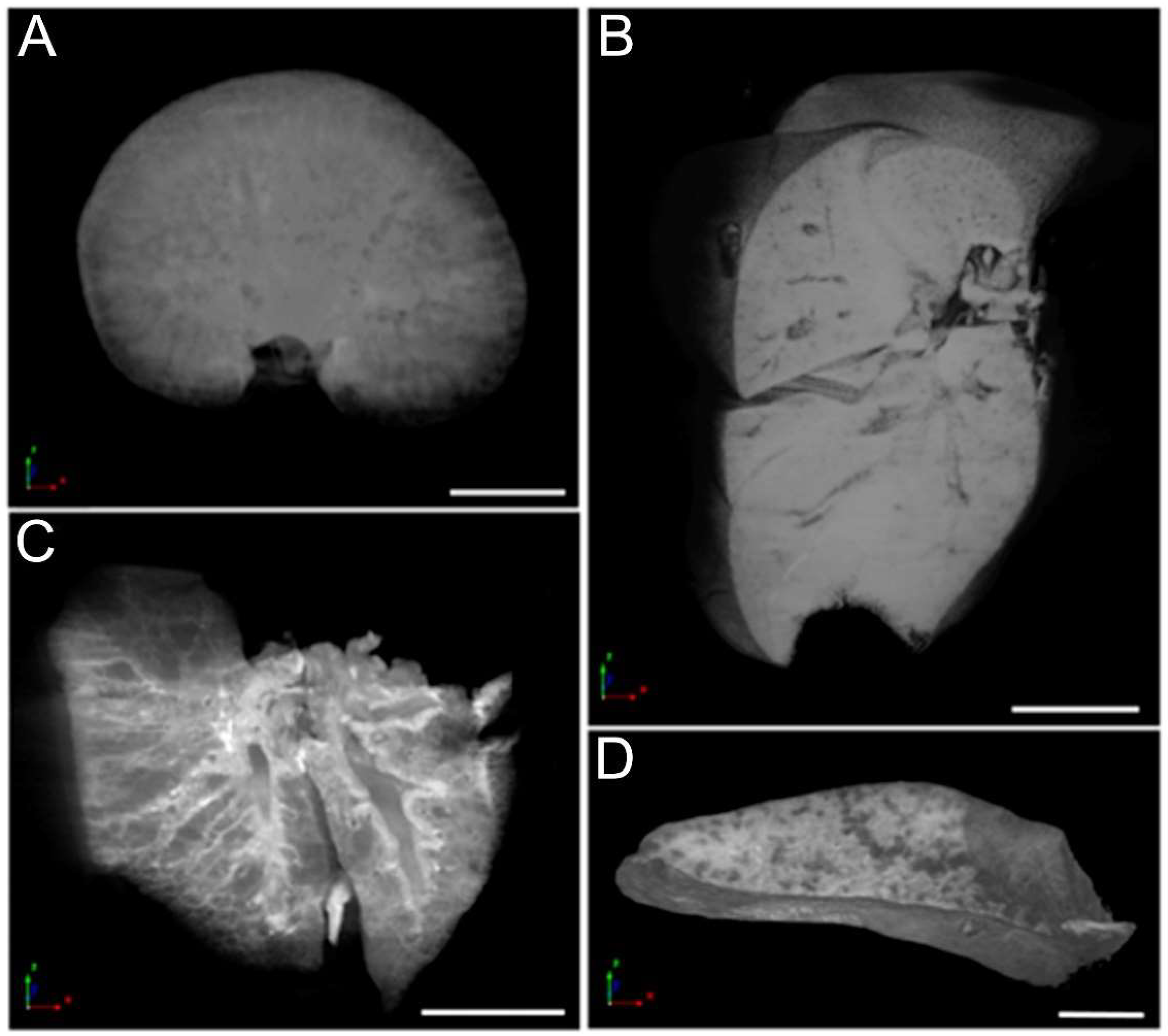 Nanomaterials 12 03513 g007