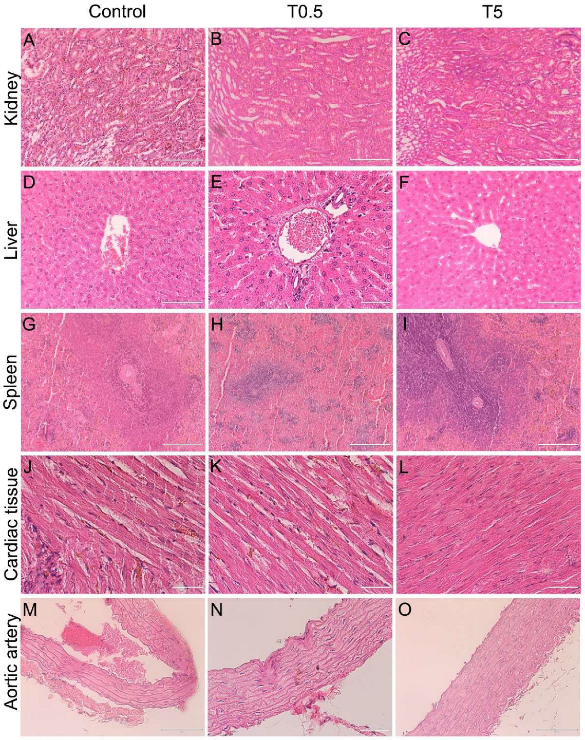 Nanomaterials 12 03513 g008