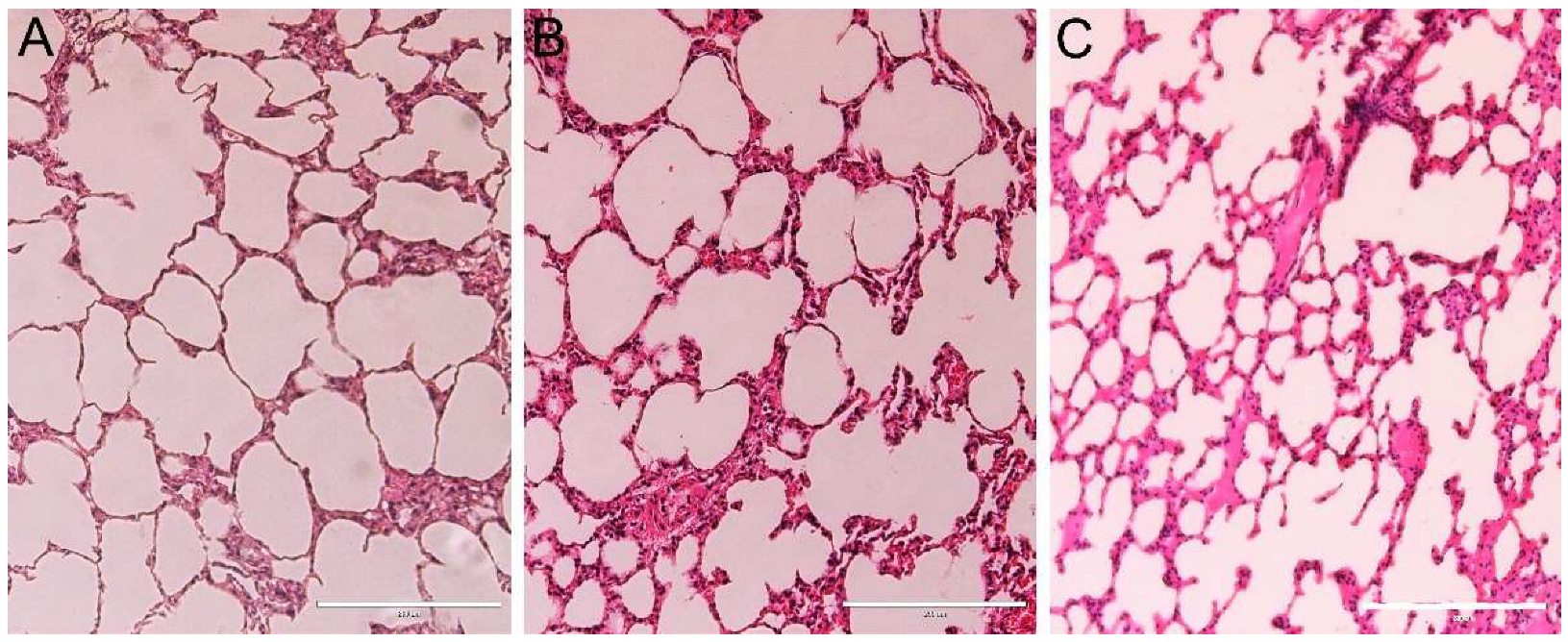 Nanomaterials 12 03513 g009